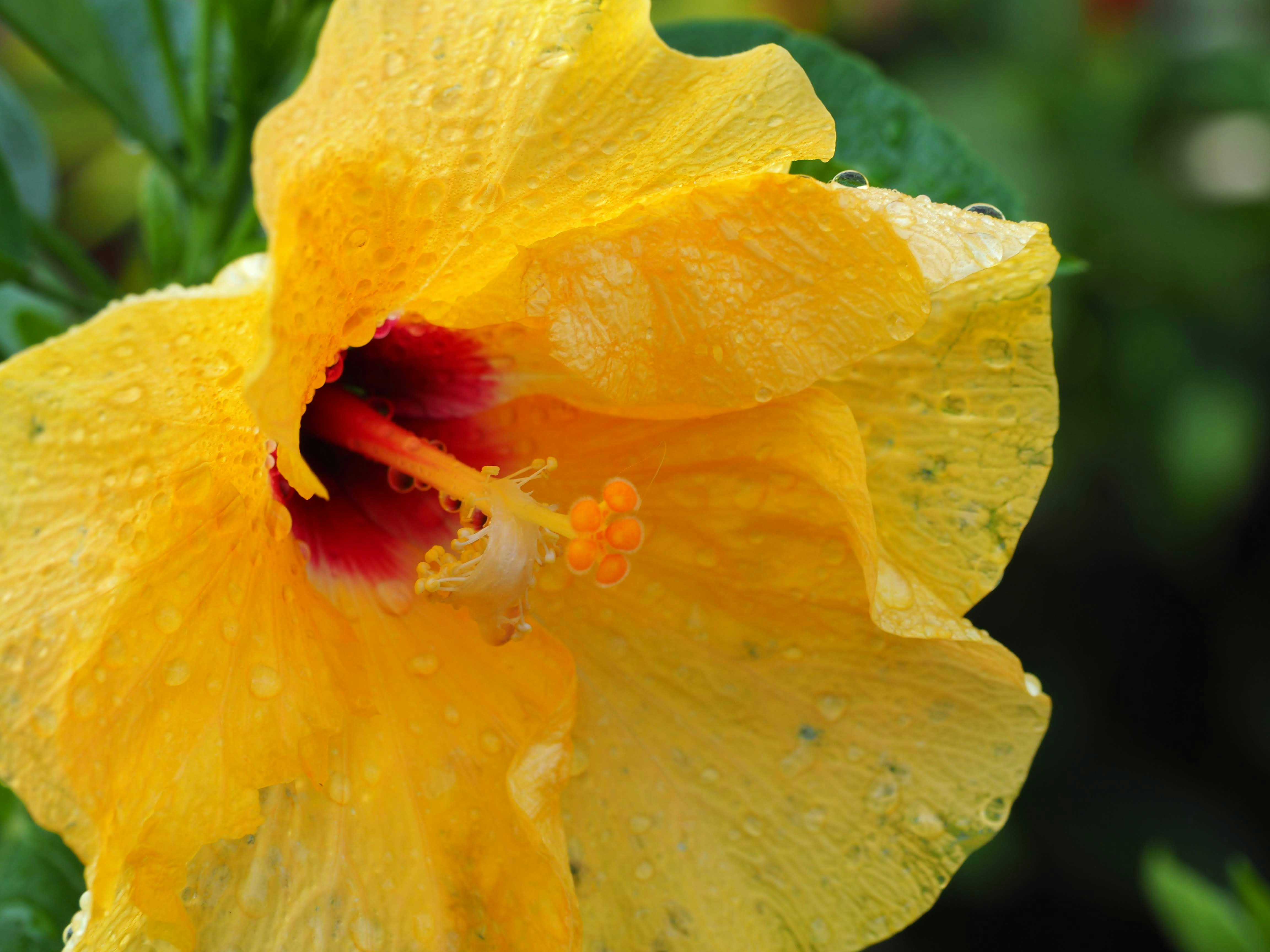 Photo by snowflakeying