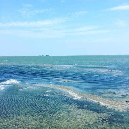 blue ocean under blue sky during daytime in Ramanathapuram India