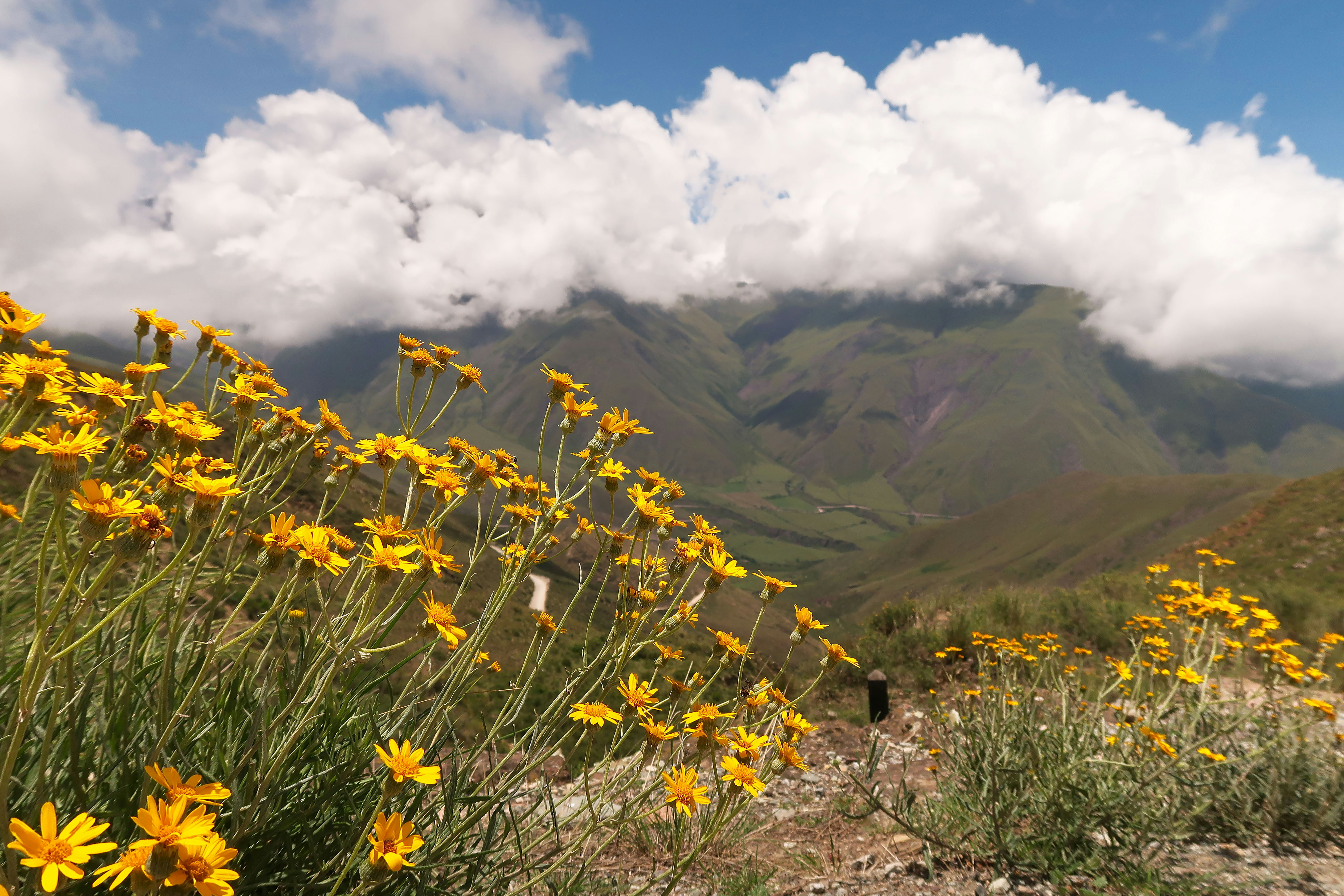 Photo by argentinanatural