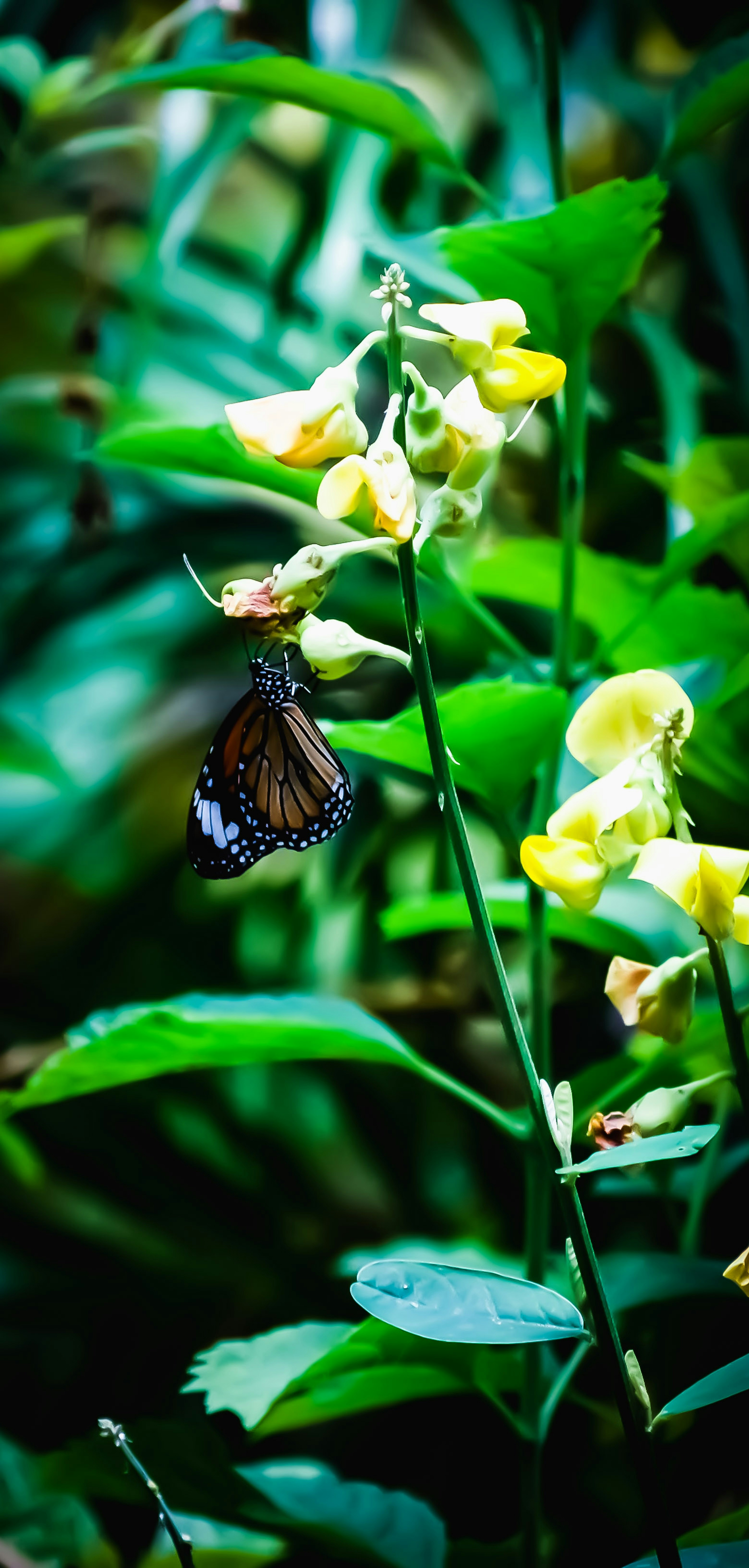 Photo by a_b_captures