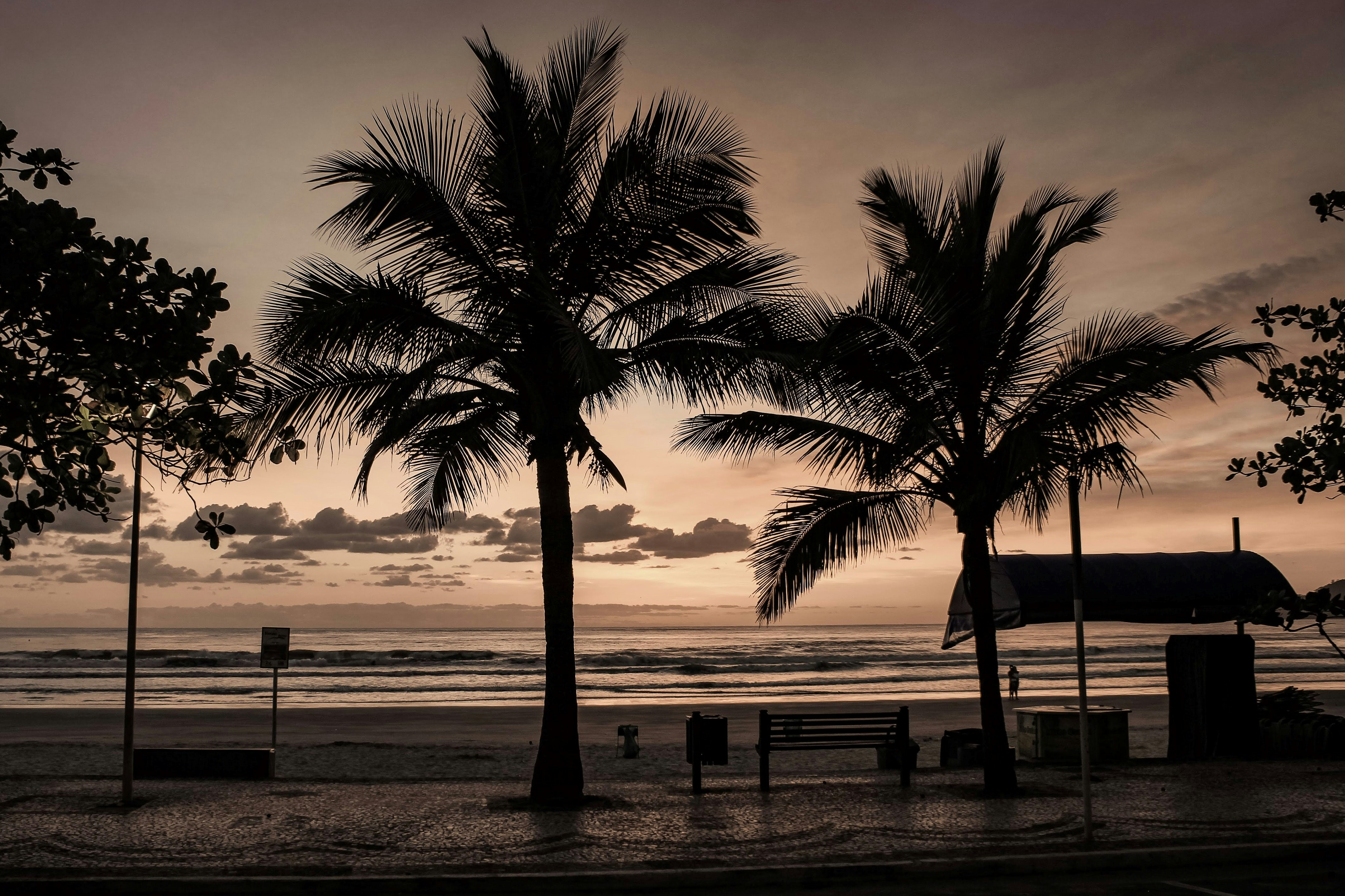Photo by rafadekker