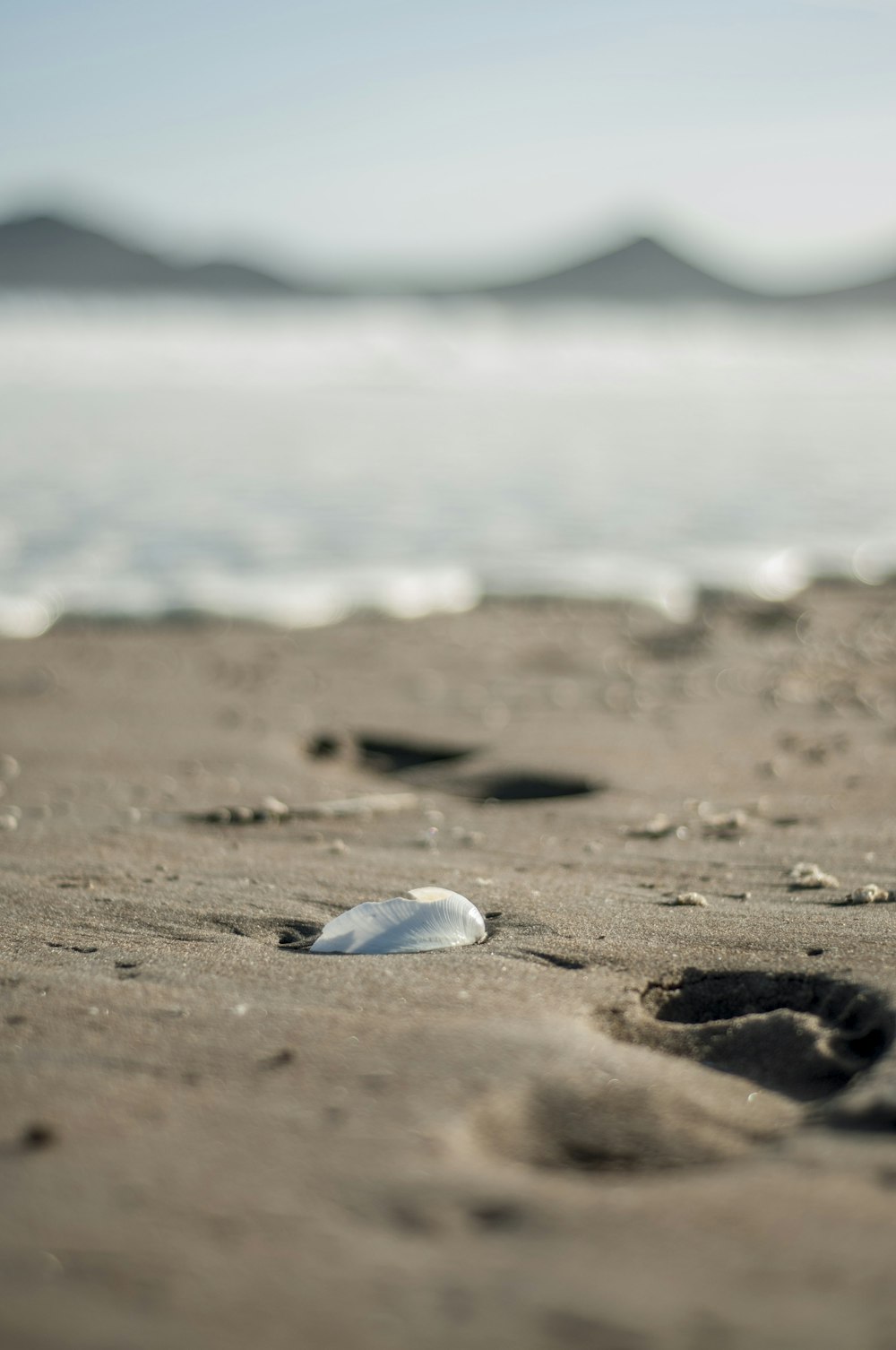 white stone on brown sand near body of water during daytime