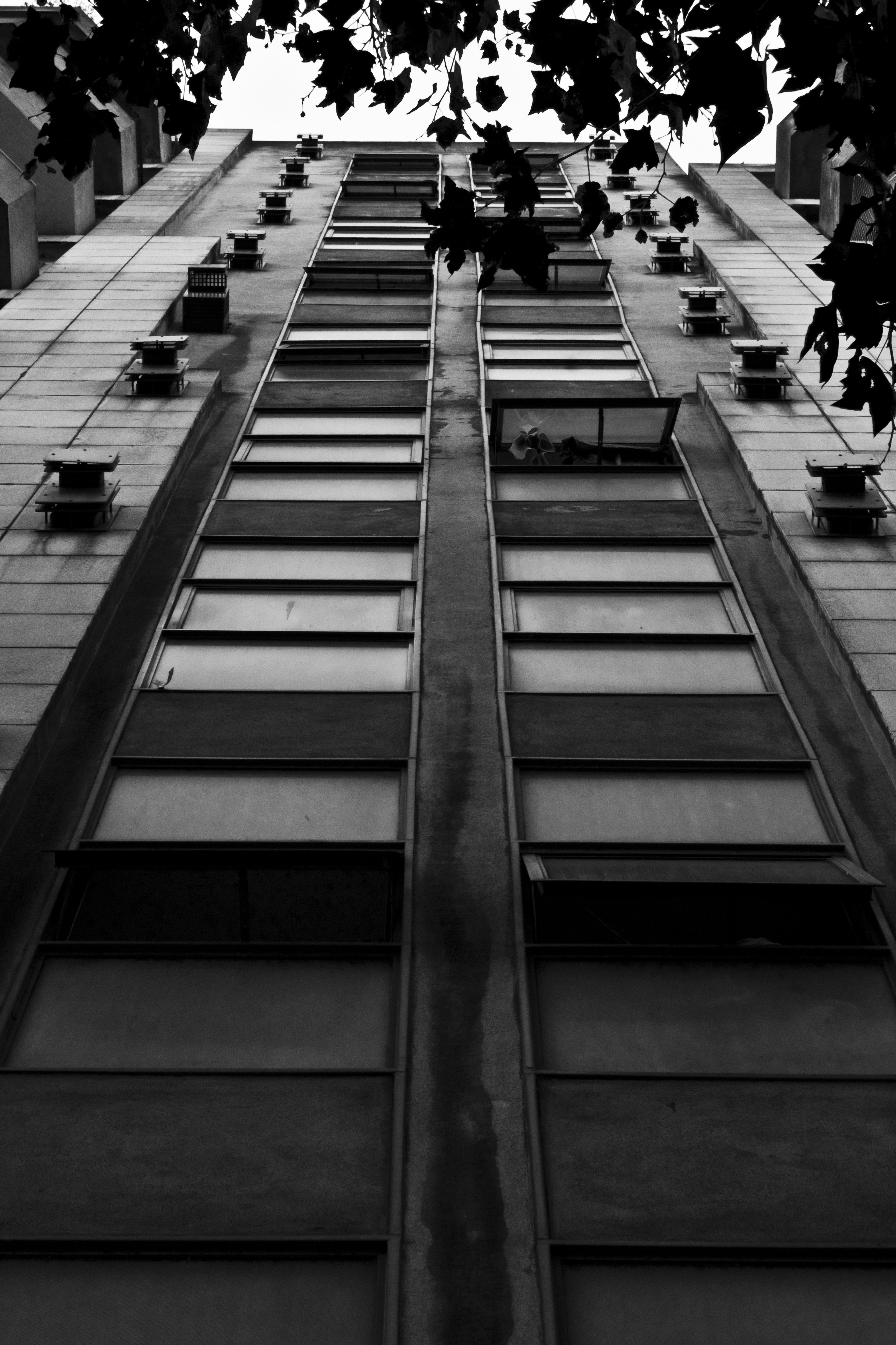 Photo by arielfotodg