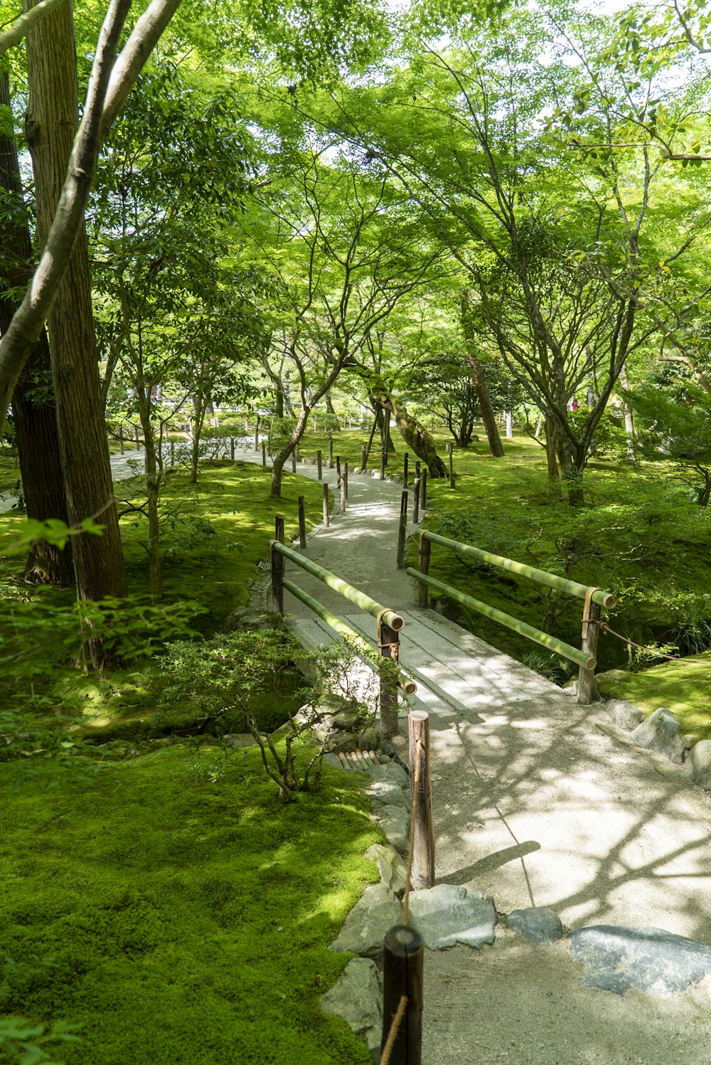 gray concrete pathway between green grass and trees during daytime