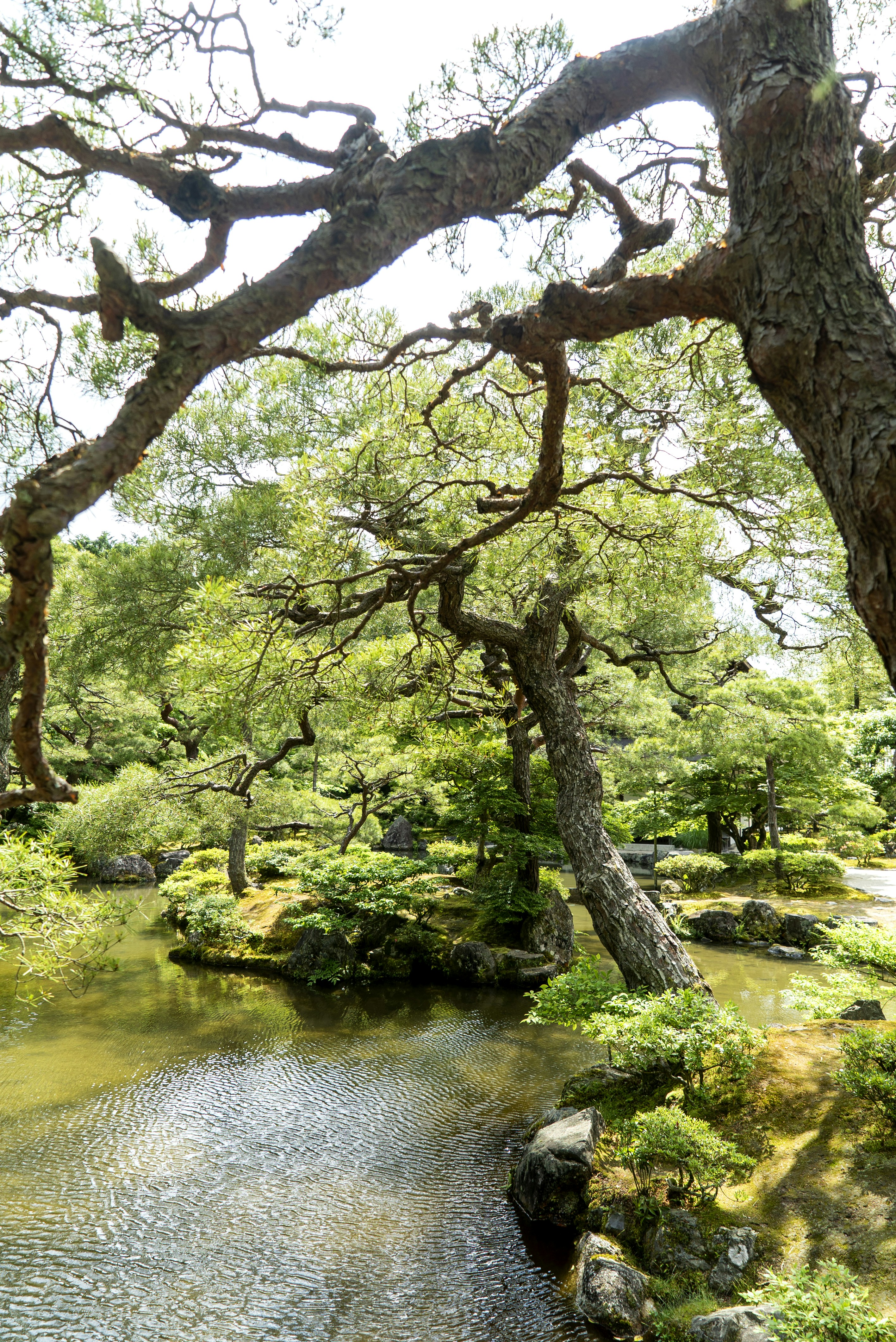 Photo by davidemrich