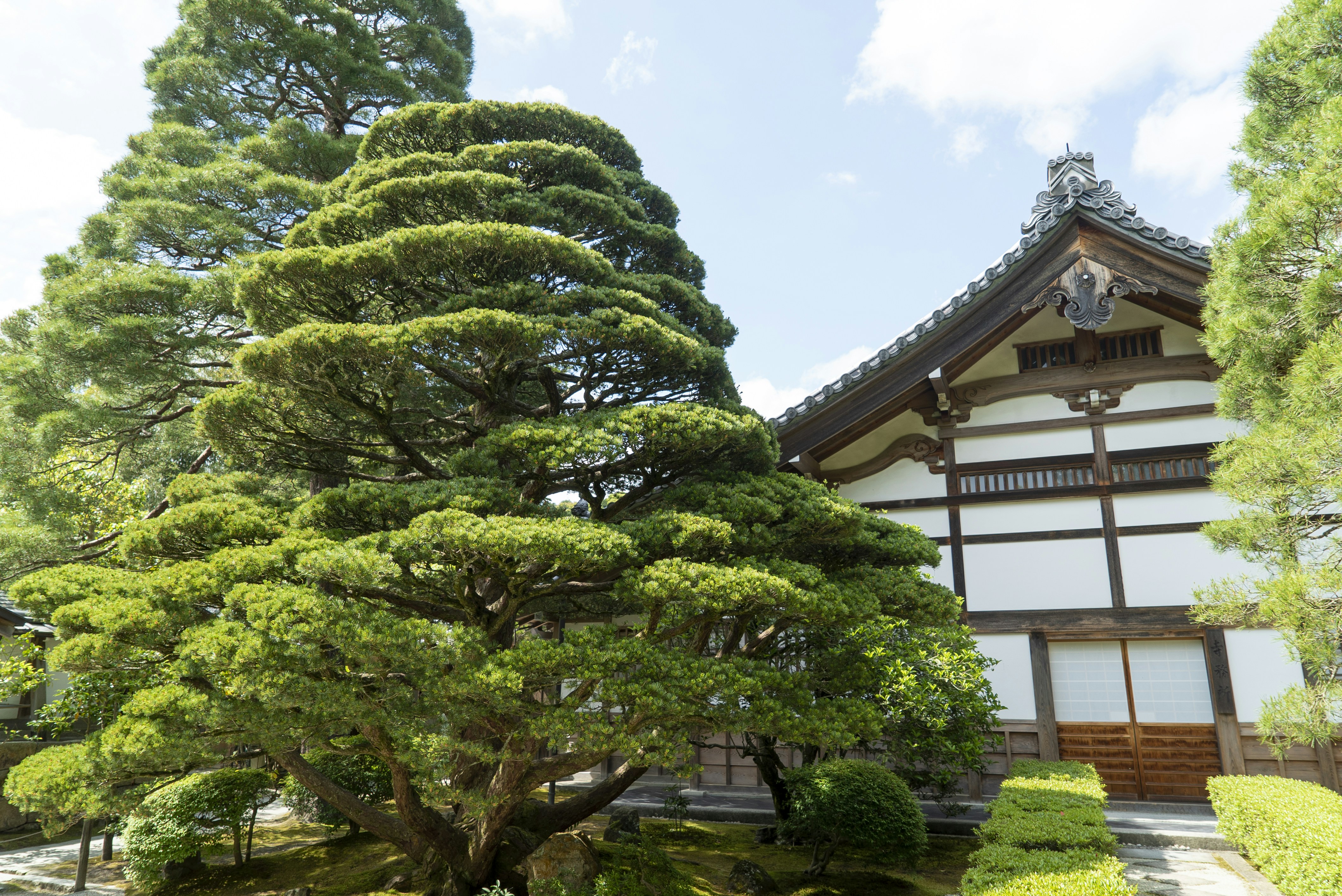 Photo by davidemrich