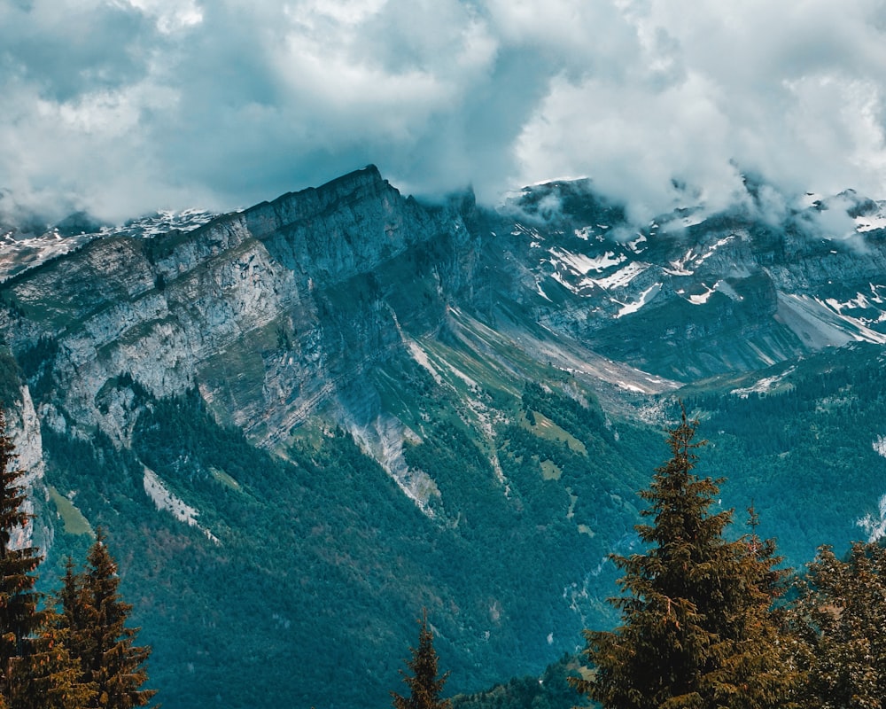 a view of a mountain range with trees in the foreground