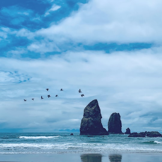 None in Haystack Rock United States