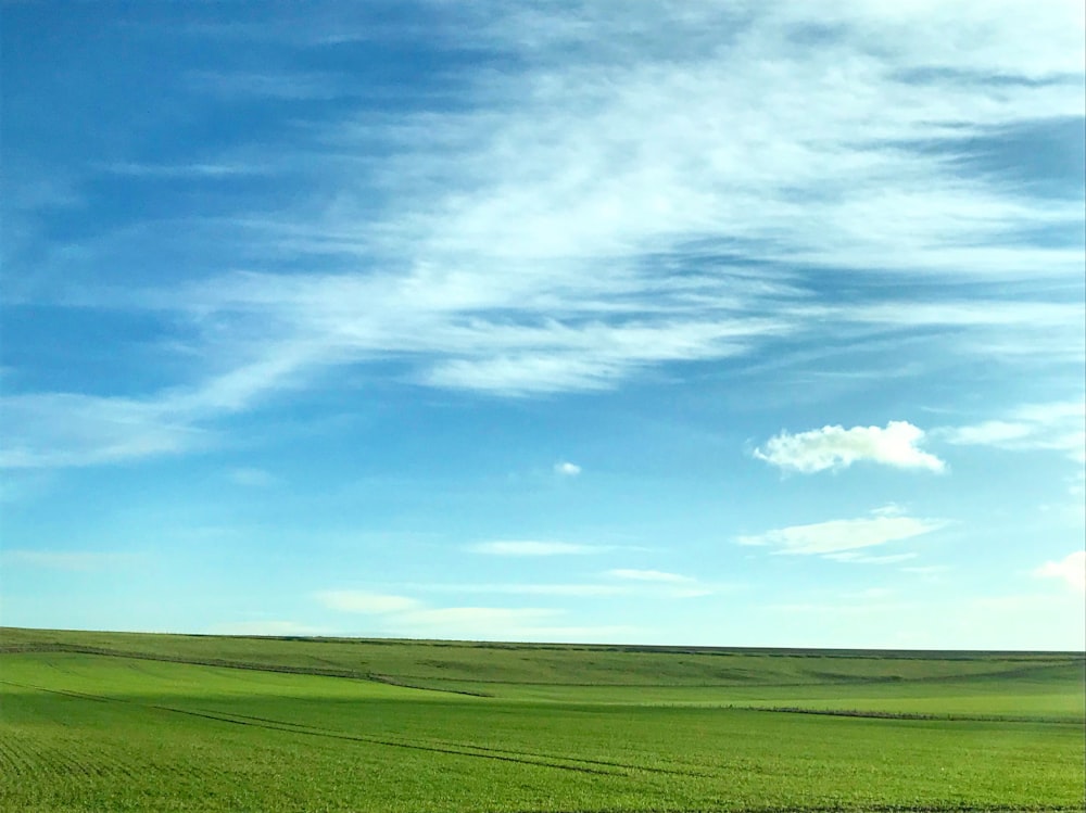 a green field under a blue sky with clouds