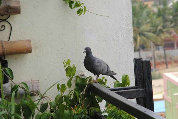 Close-up of a sturdy pigeon net securely installed on a balcony railing in Borivali West.