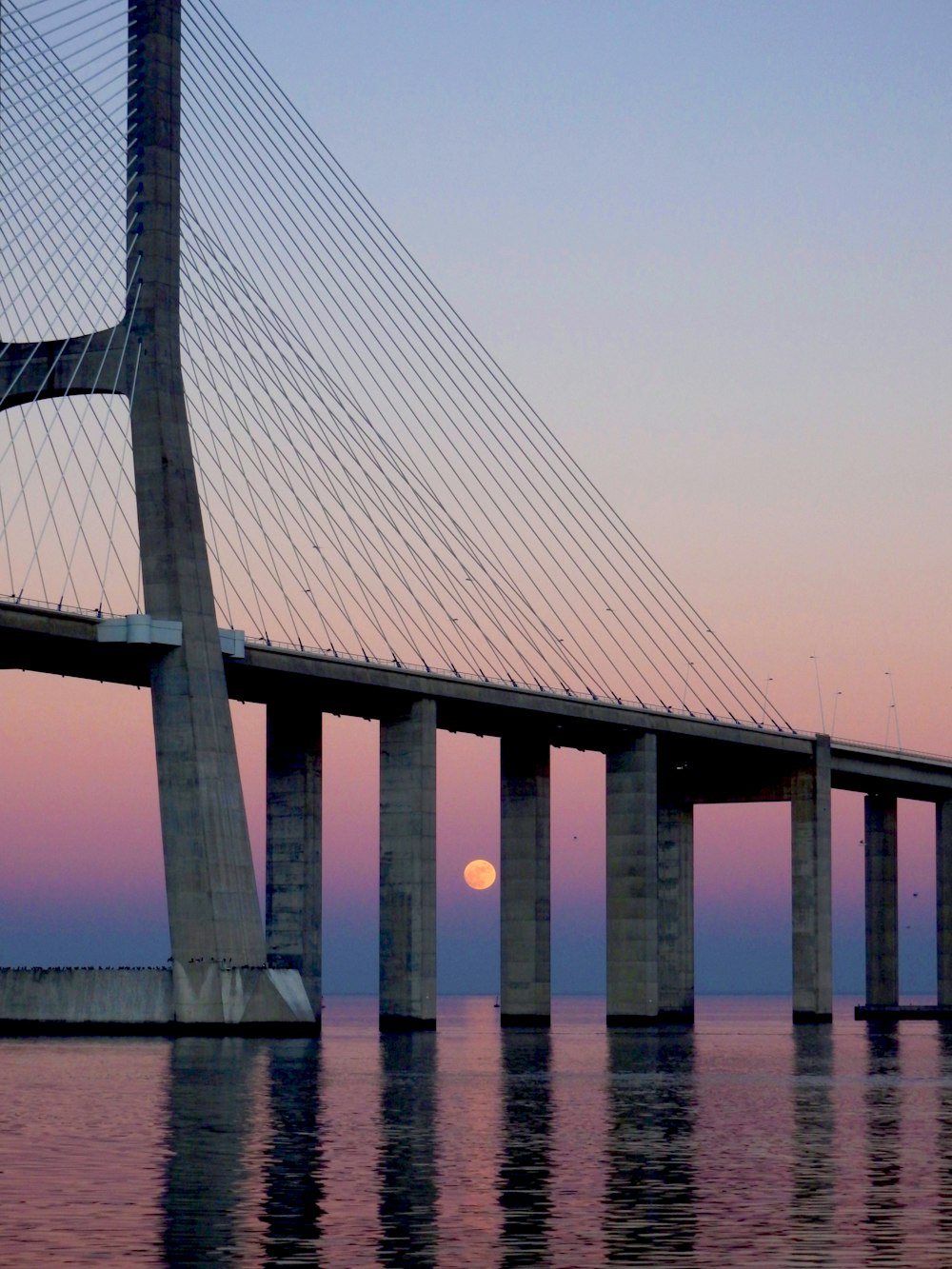 bridge over water during daytime