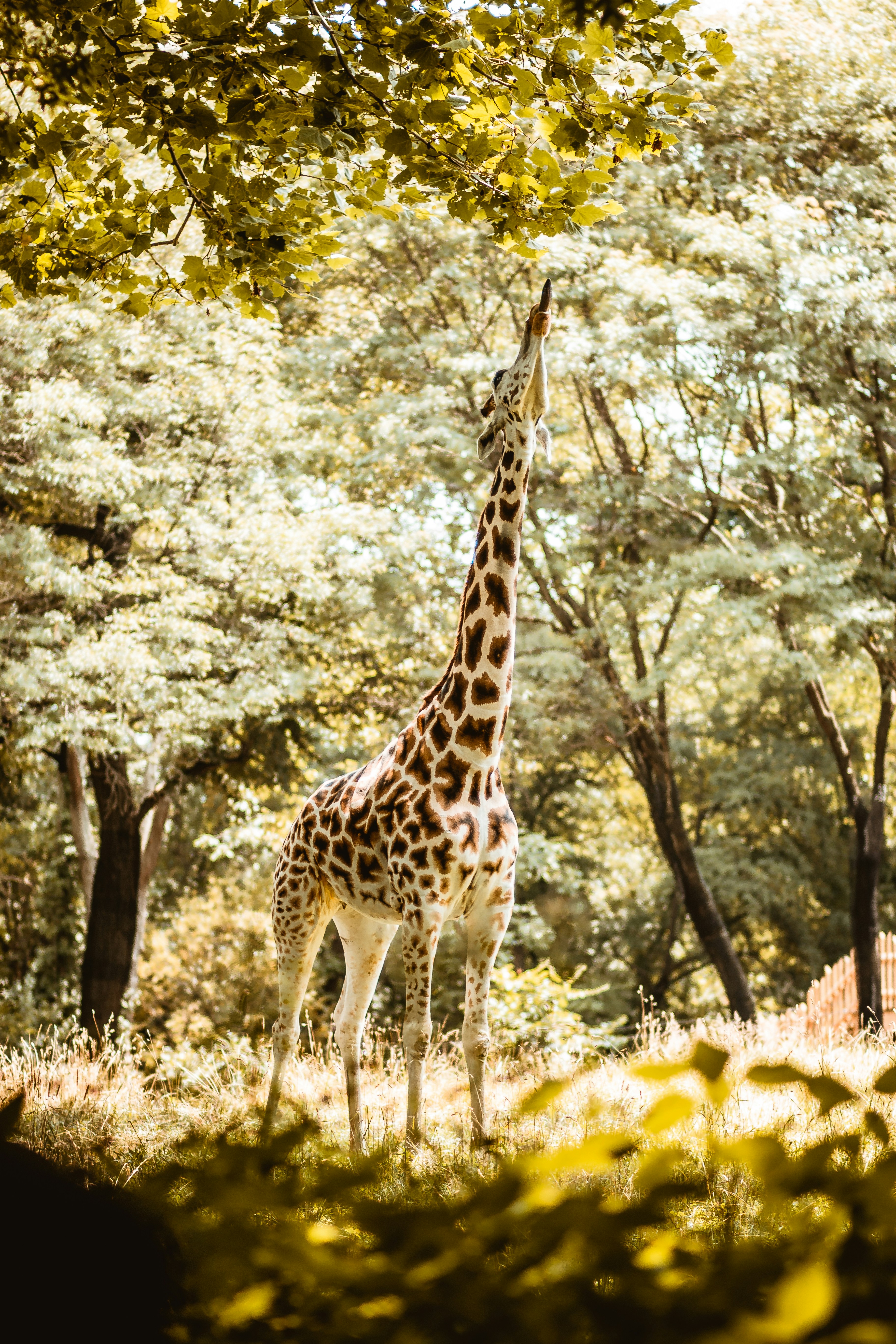 Photo by hanielespinalmedia