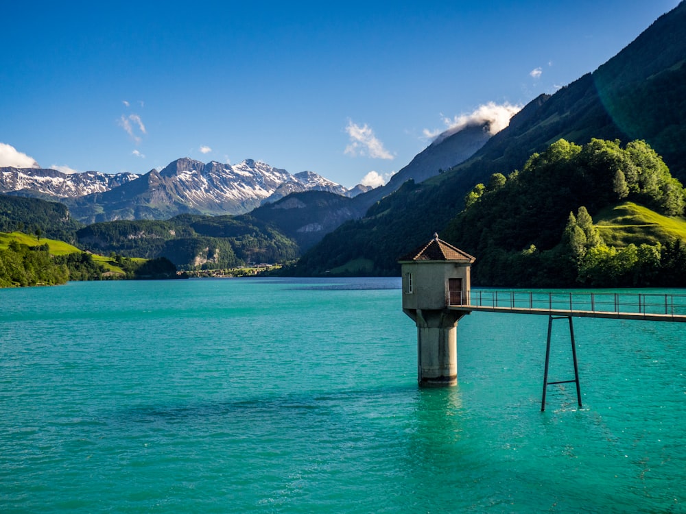 brown wooden house on green sea dock during daytime