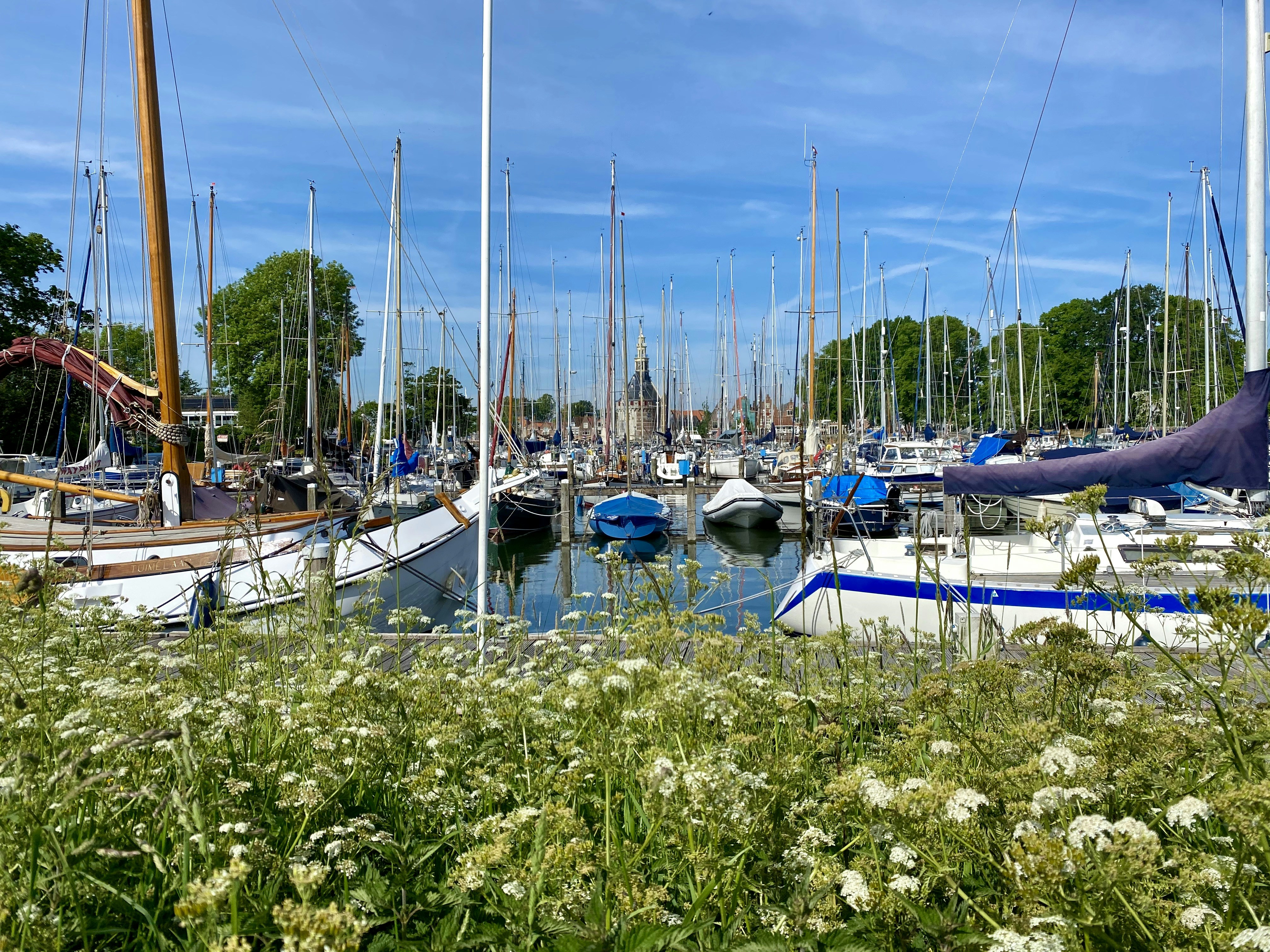 barcos brancos e azuis no cais durante o dia