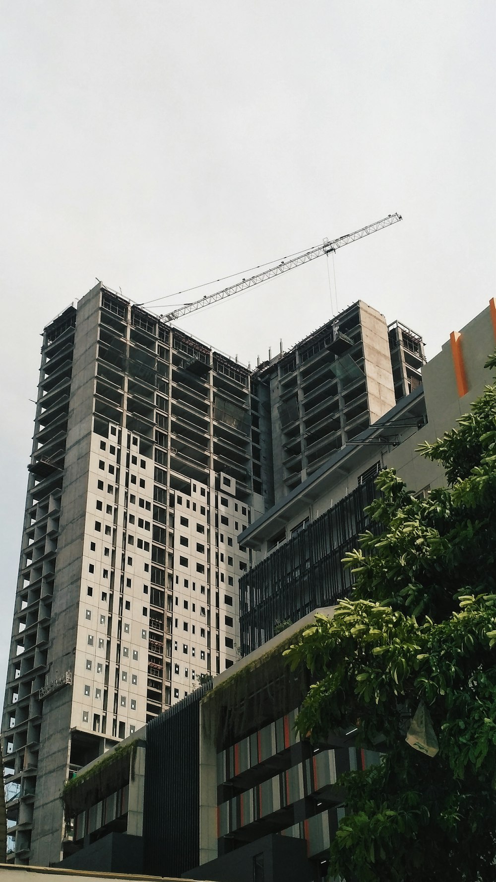 Árboles verdes cerca de edificios de gran altura durante el día