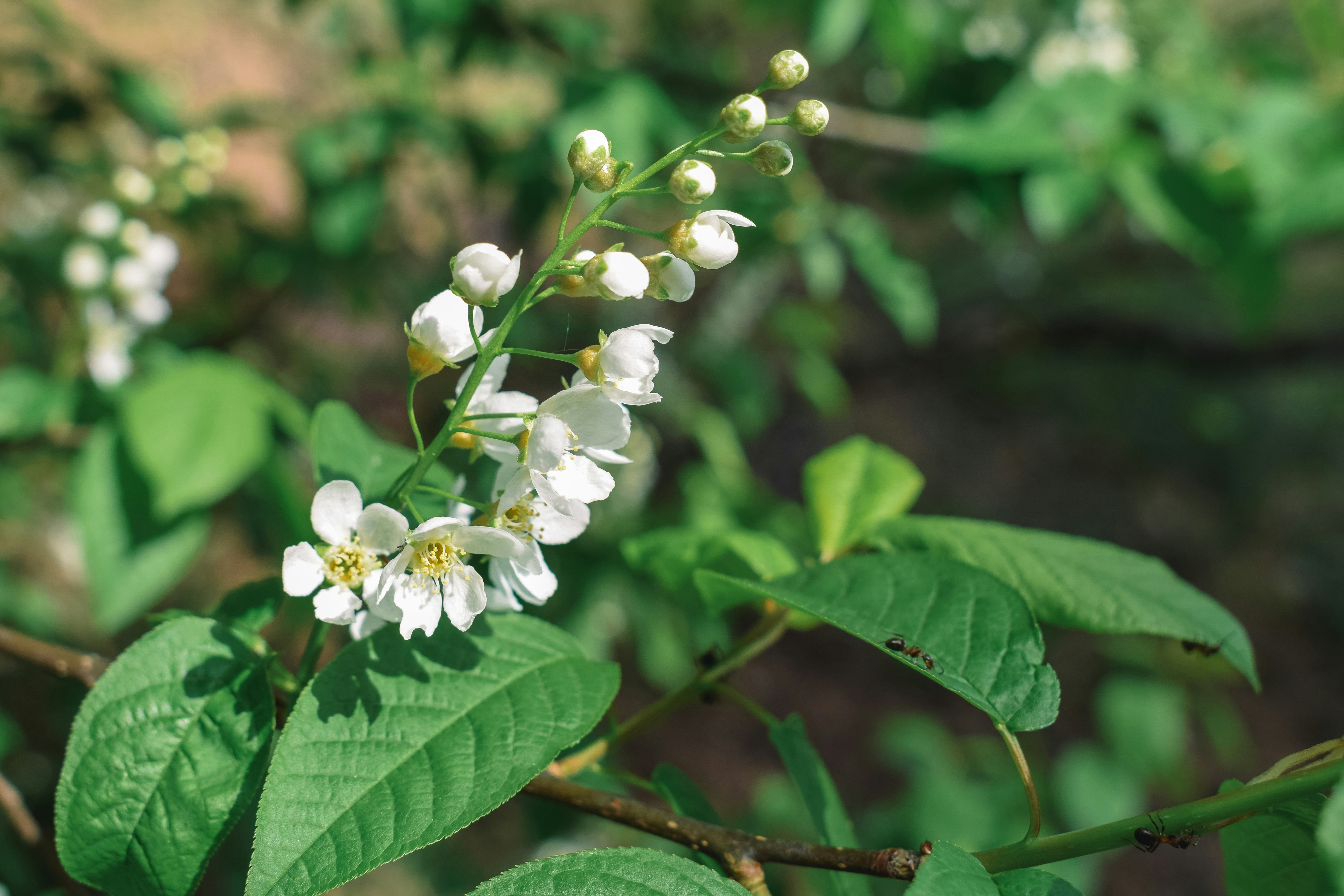 Photo by darya_tryfanava