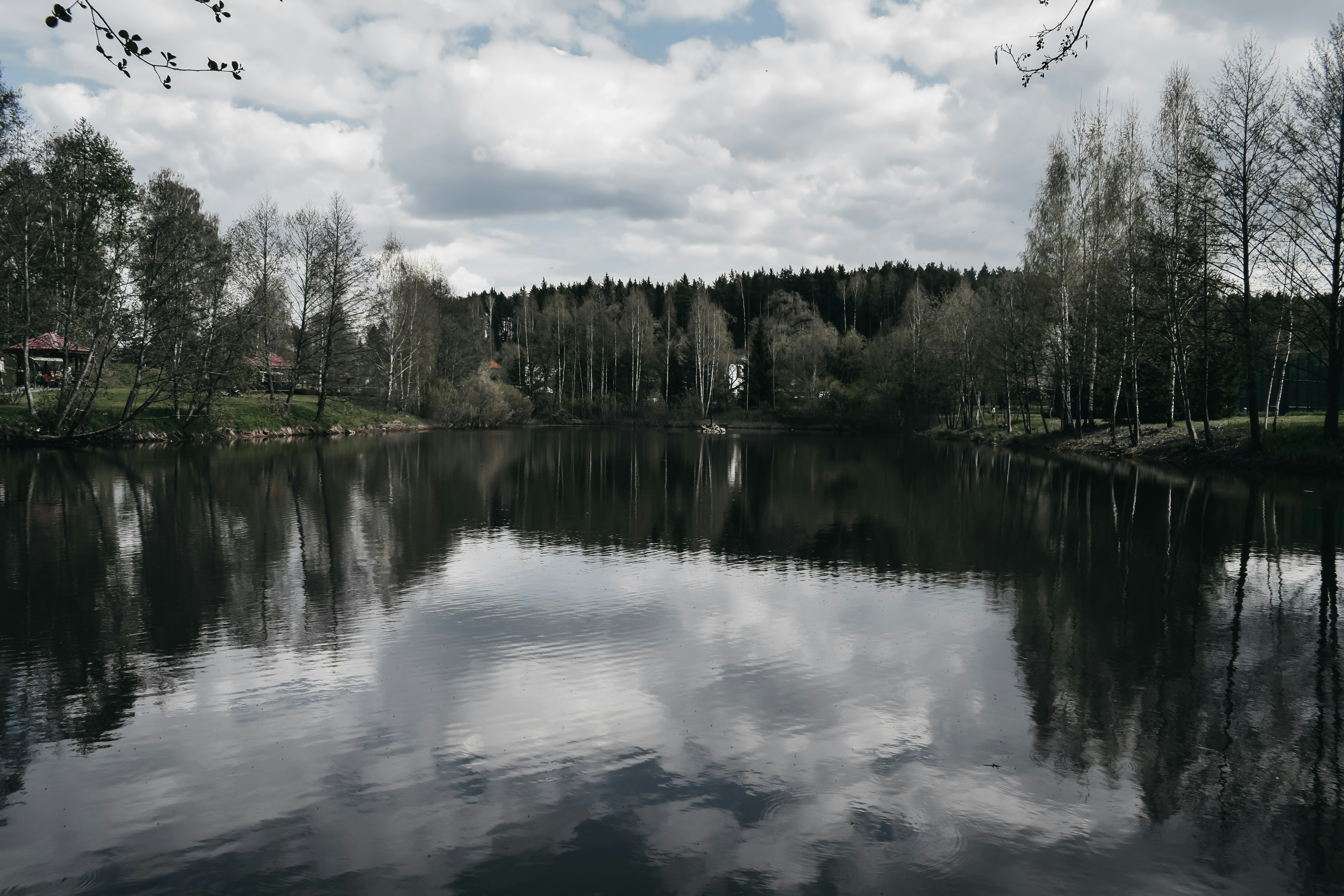 Photo by darya_tryfanava