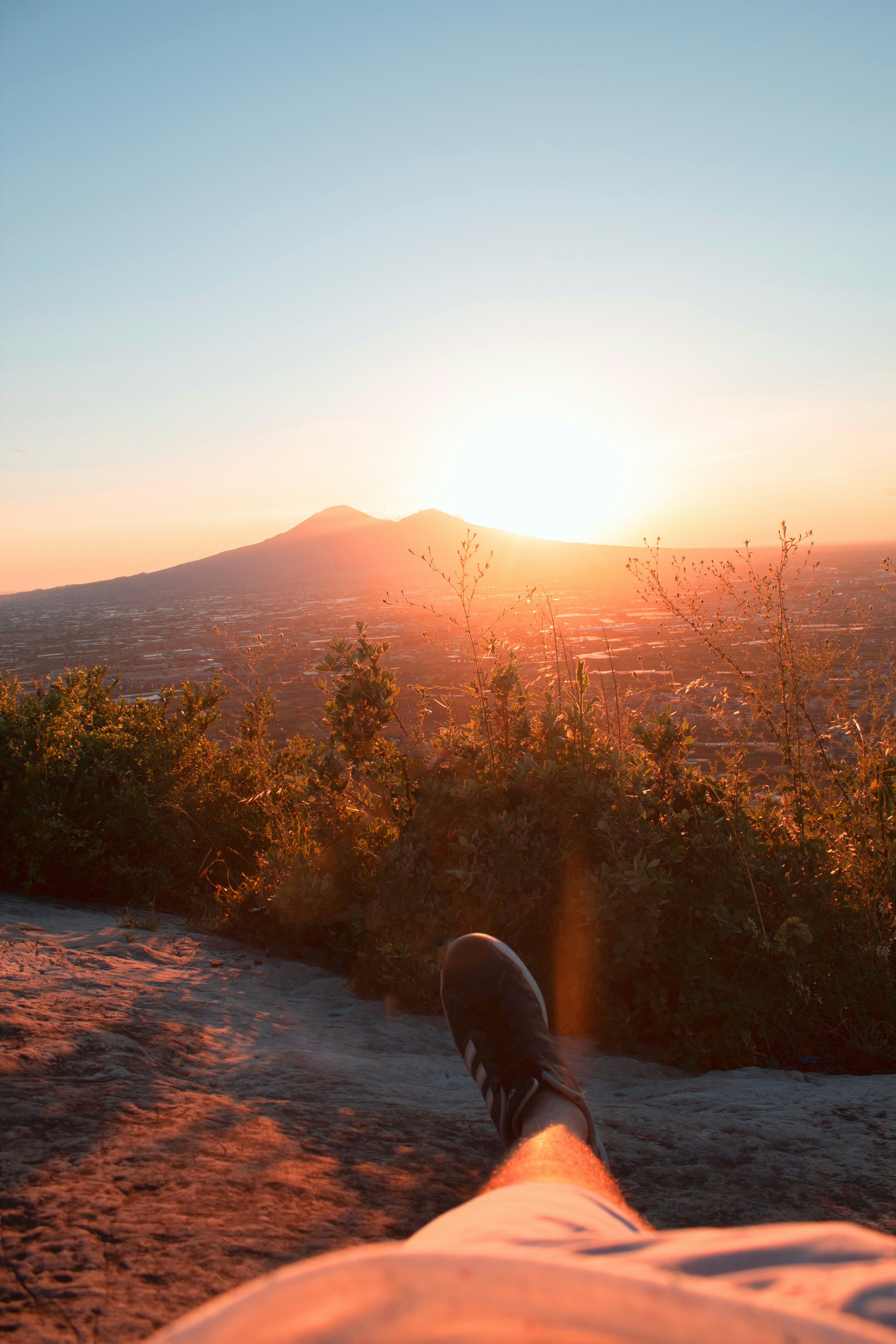 green trees on mountain during sunset
