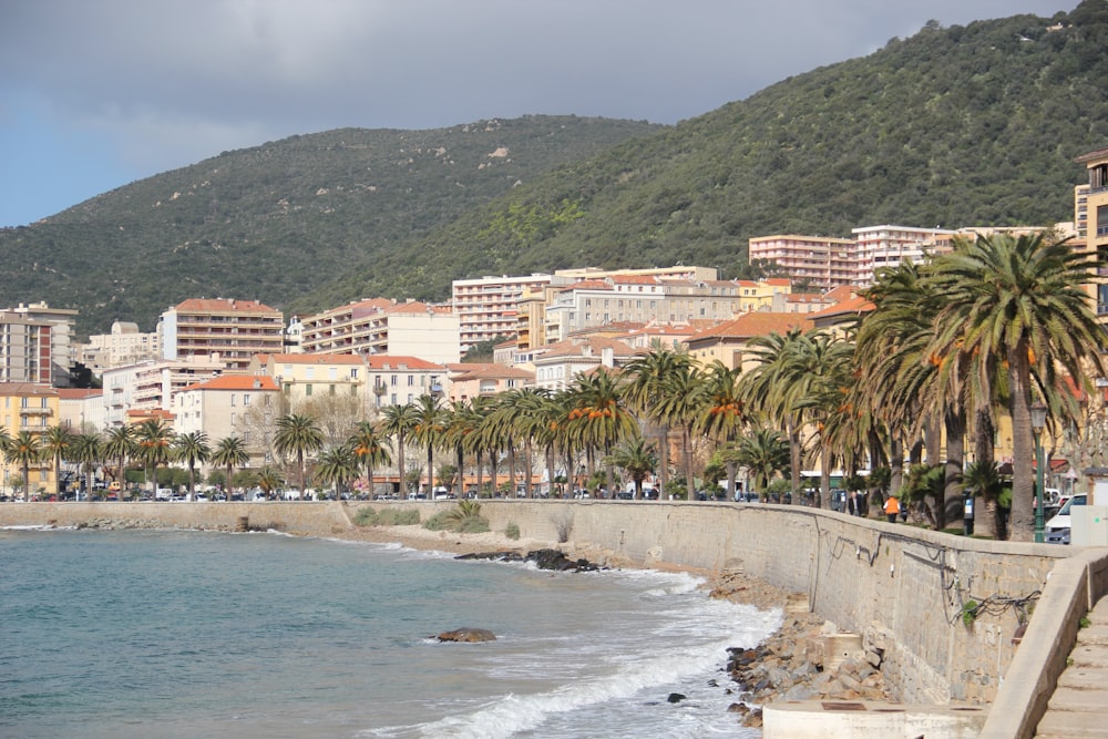 people on beach near buildings during daytime