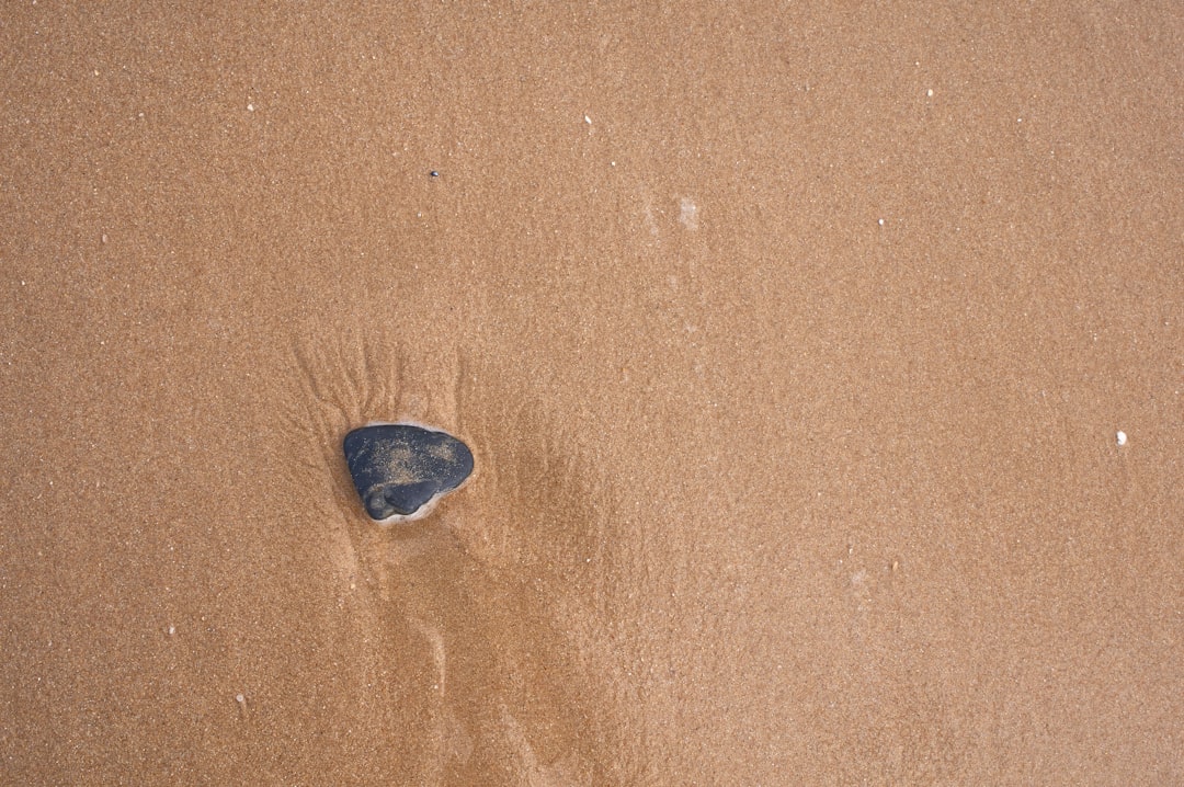 black stone on brown sand