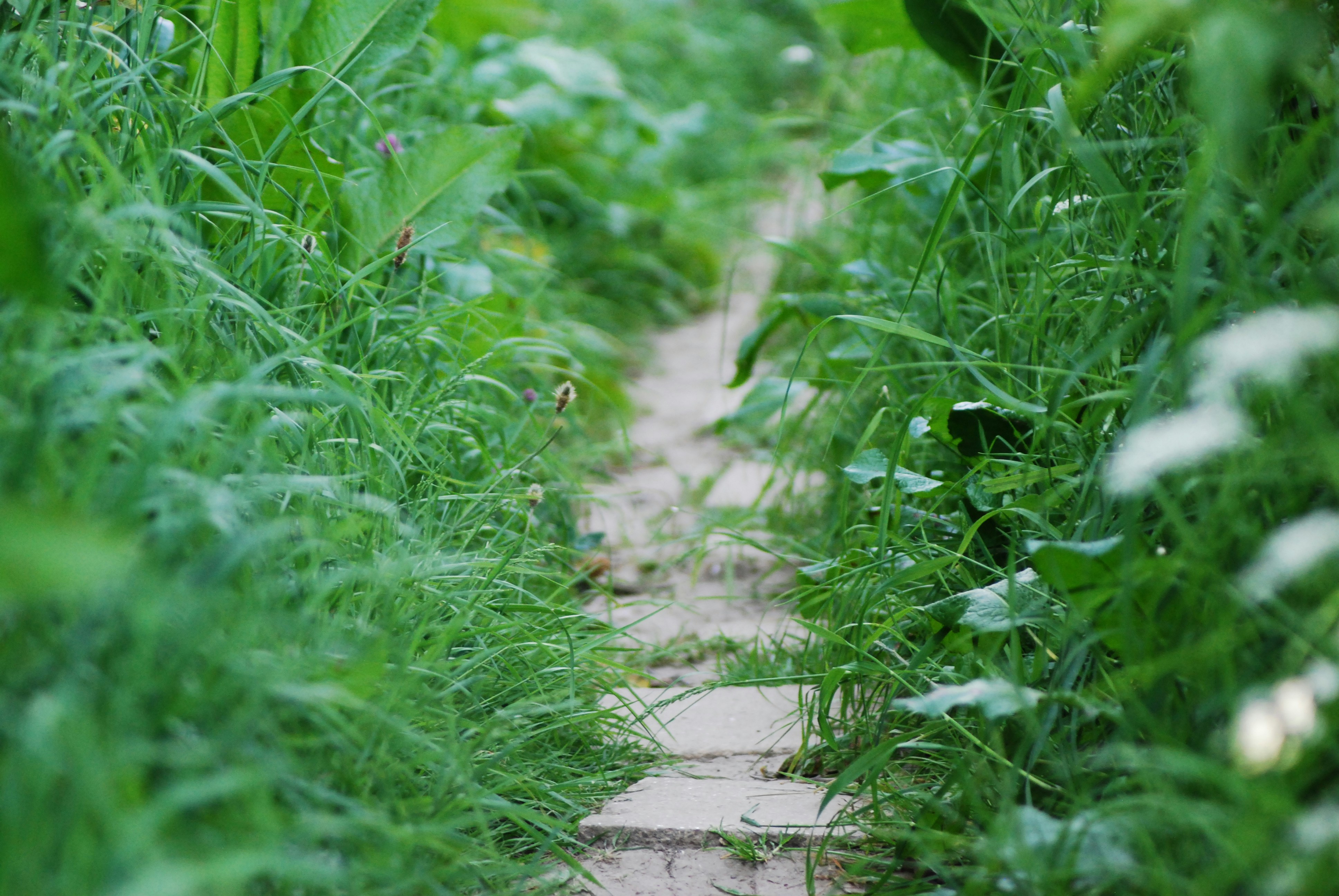 Prevailing Proverbs - 02