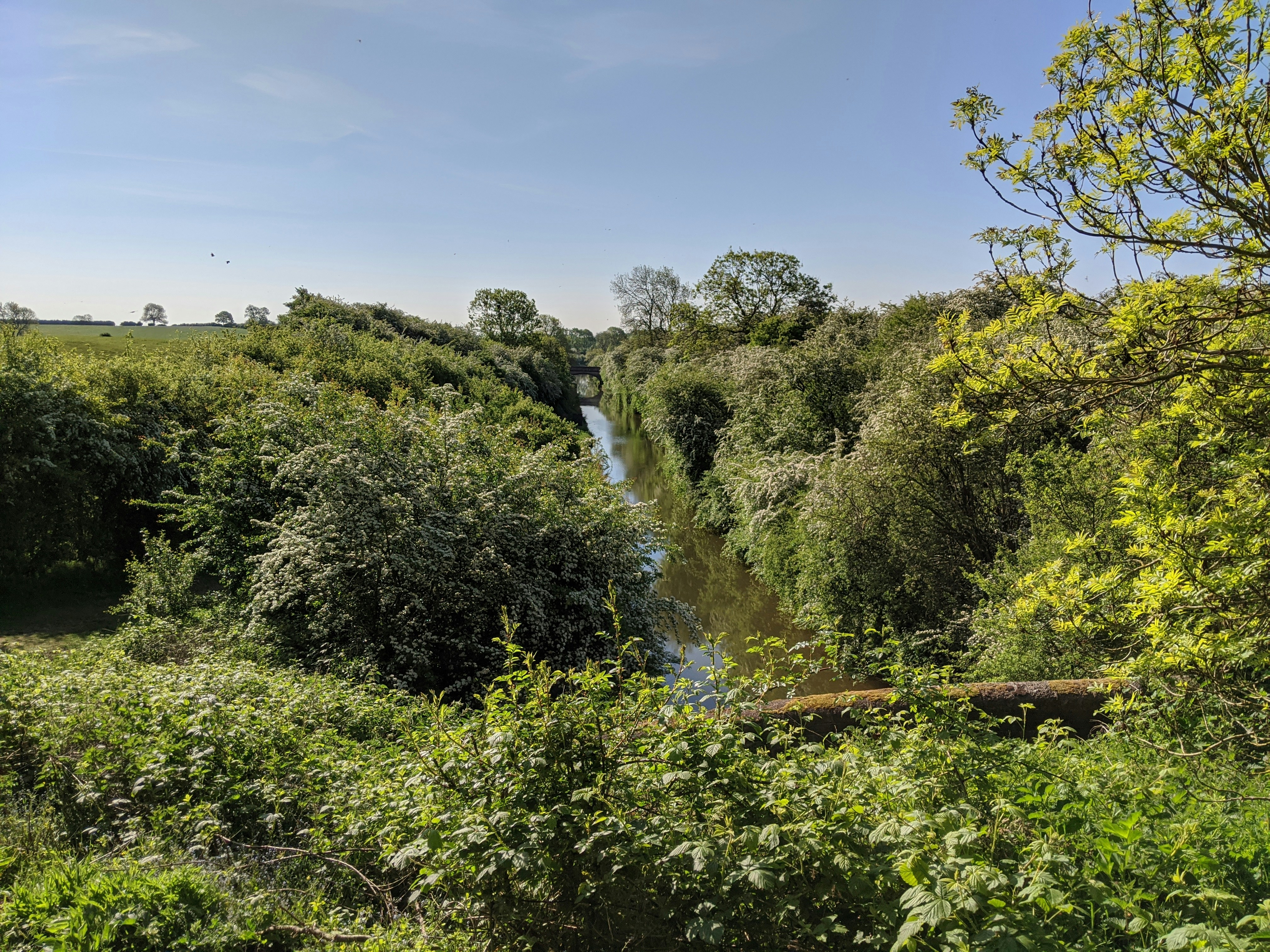 Photo by sisoplaynice