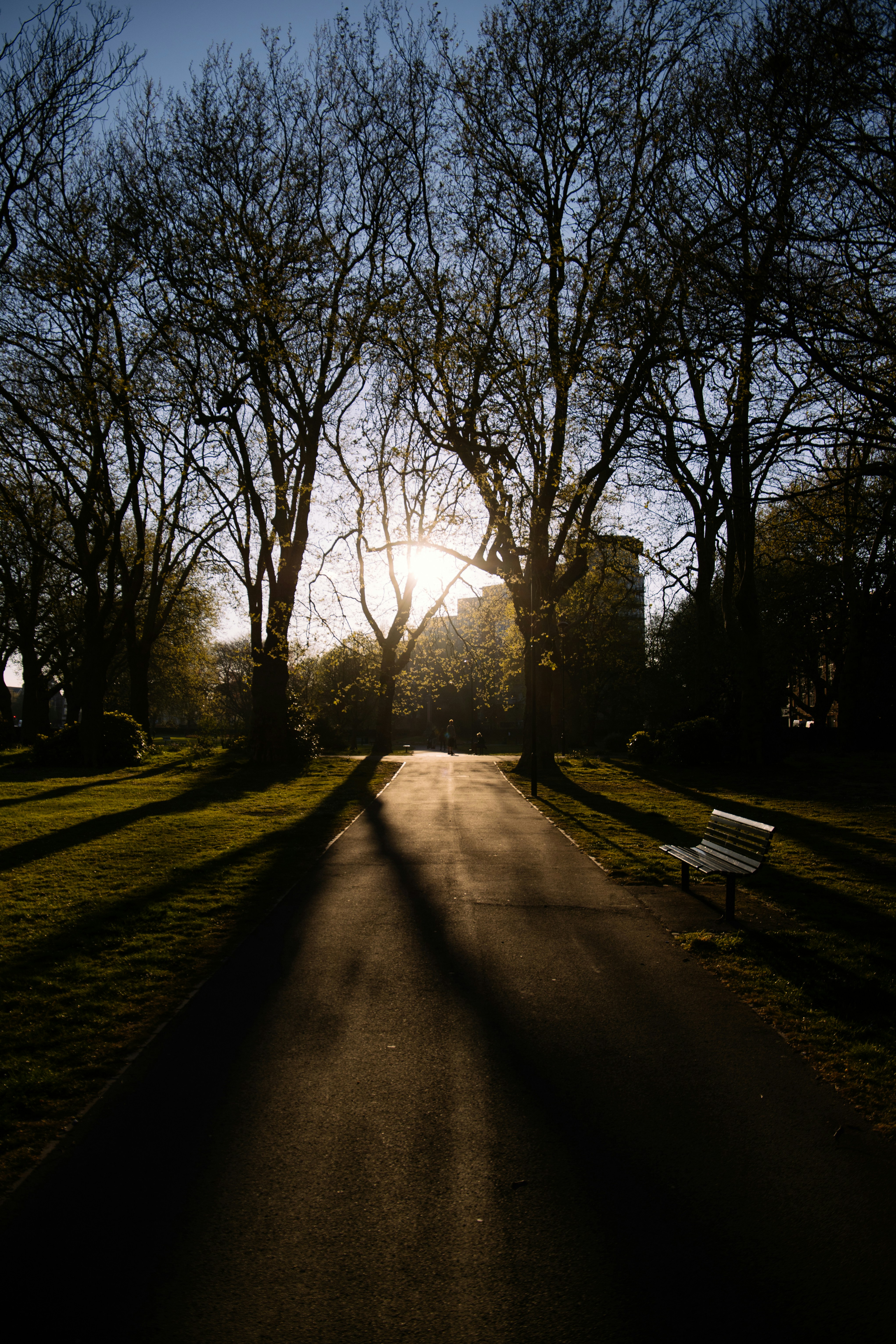 Photo by charliekelly