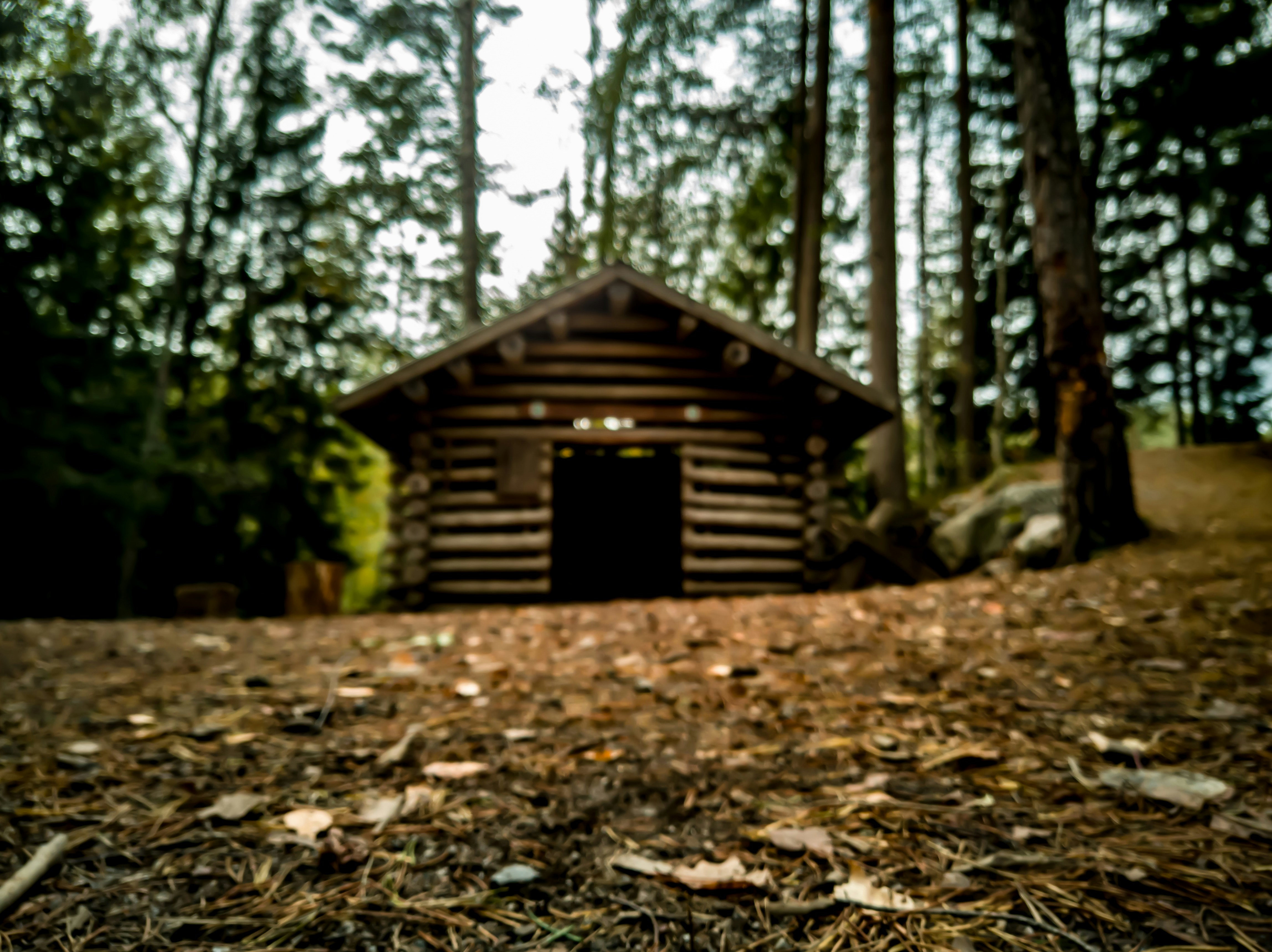 Photo by naaaaraaaaa