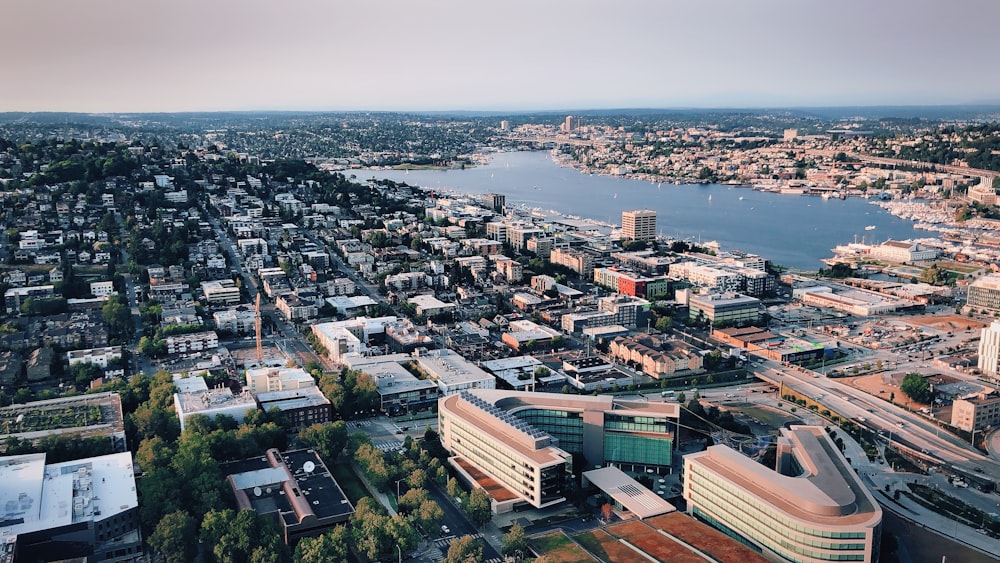 aerial view of city buildings during daytime