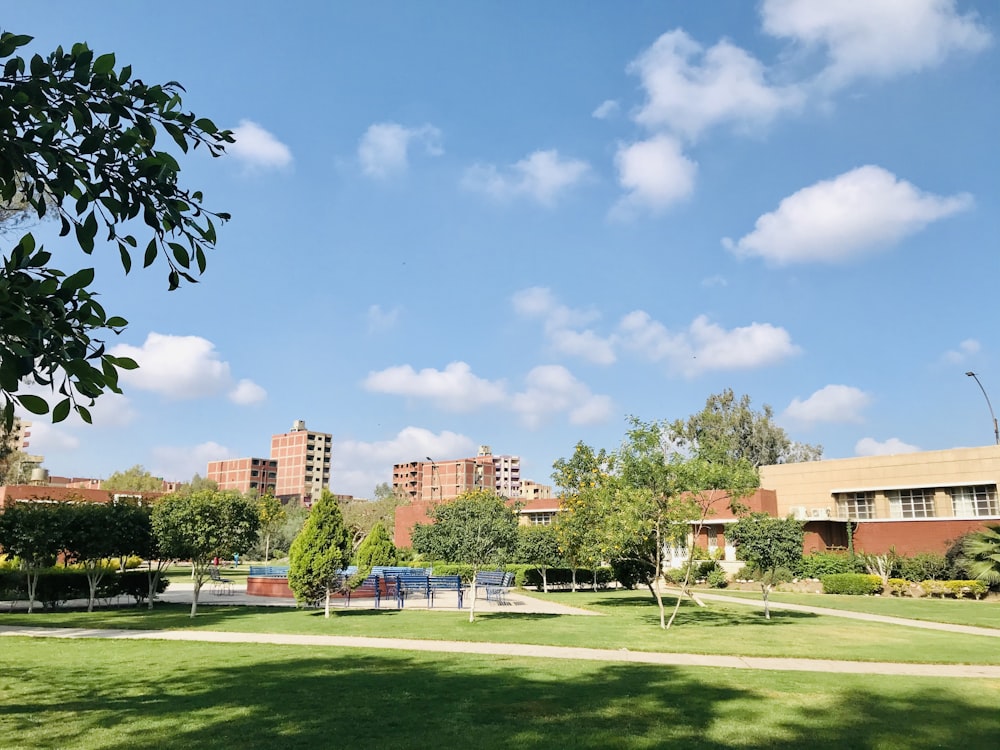 green grass field near brown concrete building under blue sky during daytime