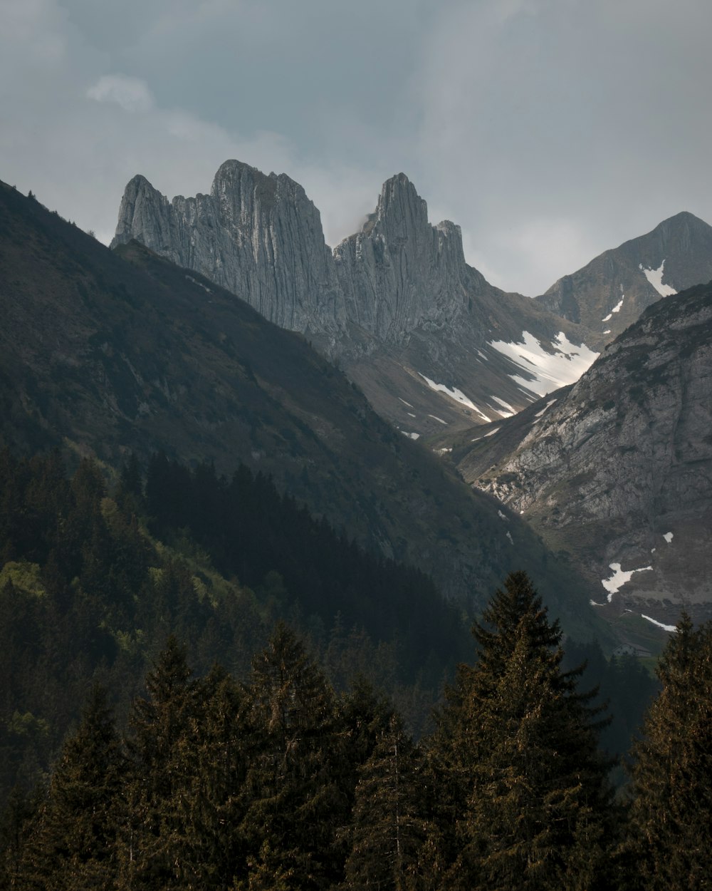 alberi verdi sulla montagna durante il giorno