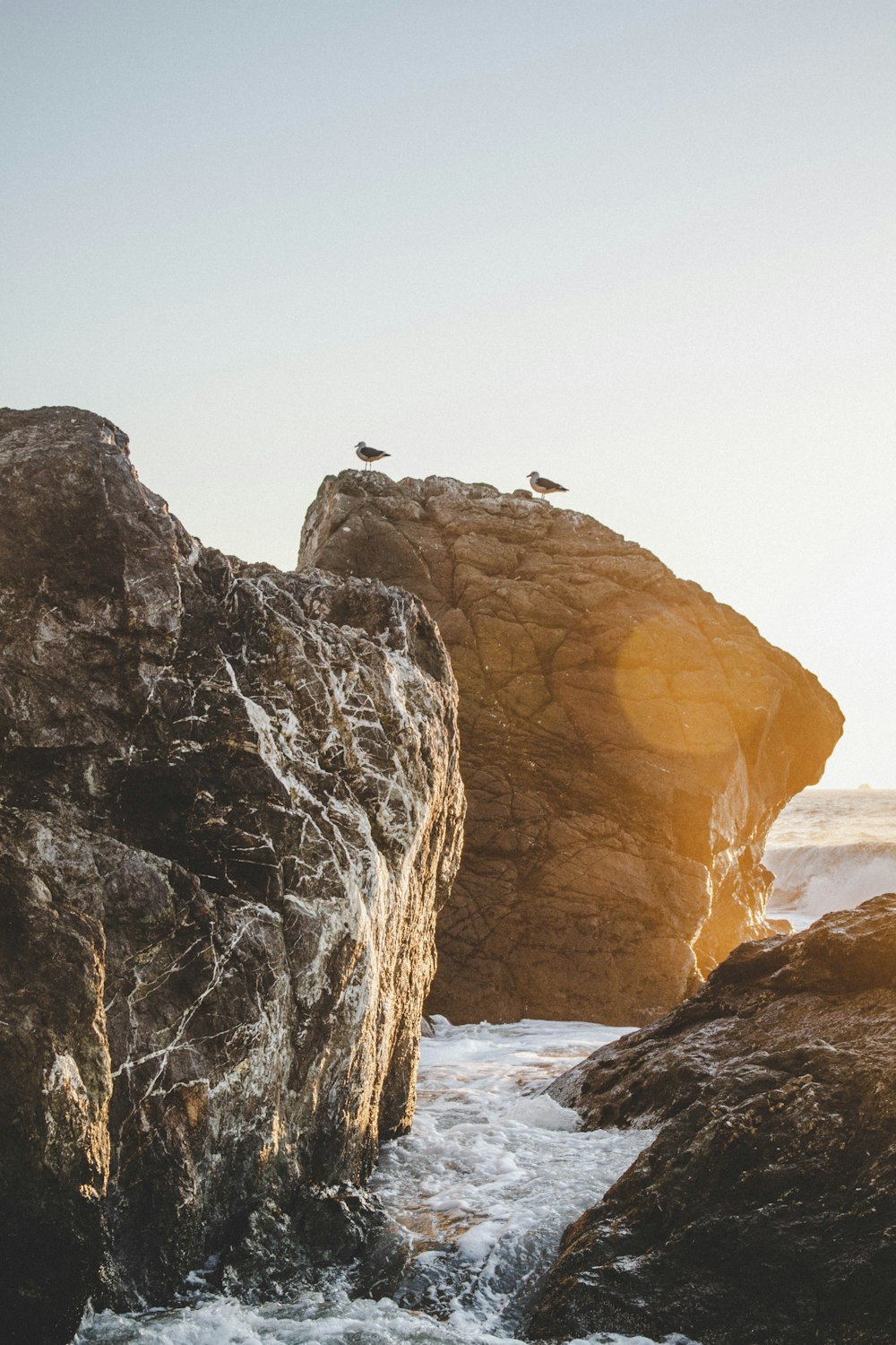 bird on top of brown rock formation during daytime