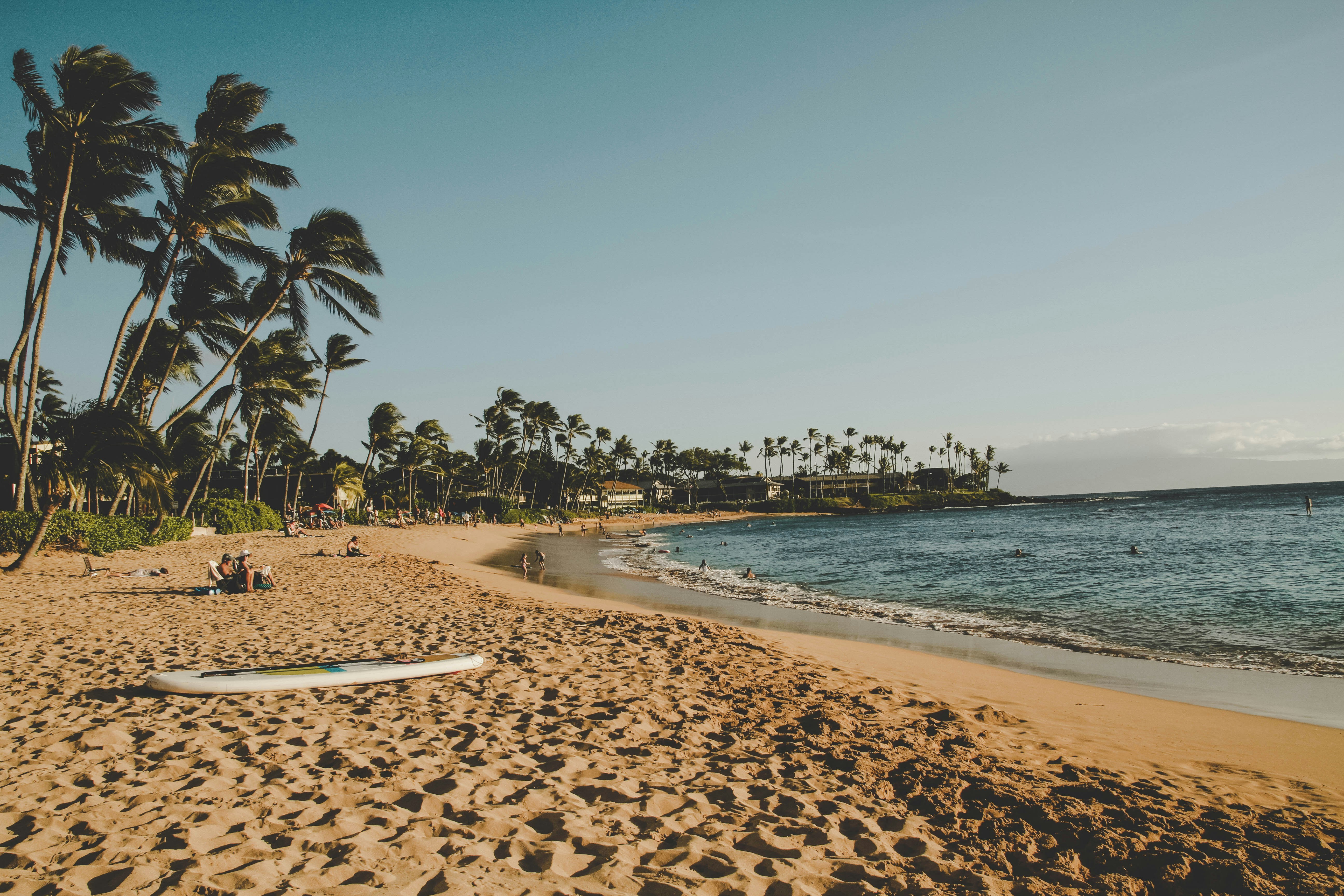 Photo by timowielink