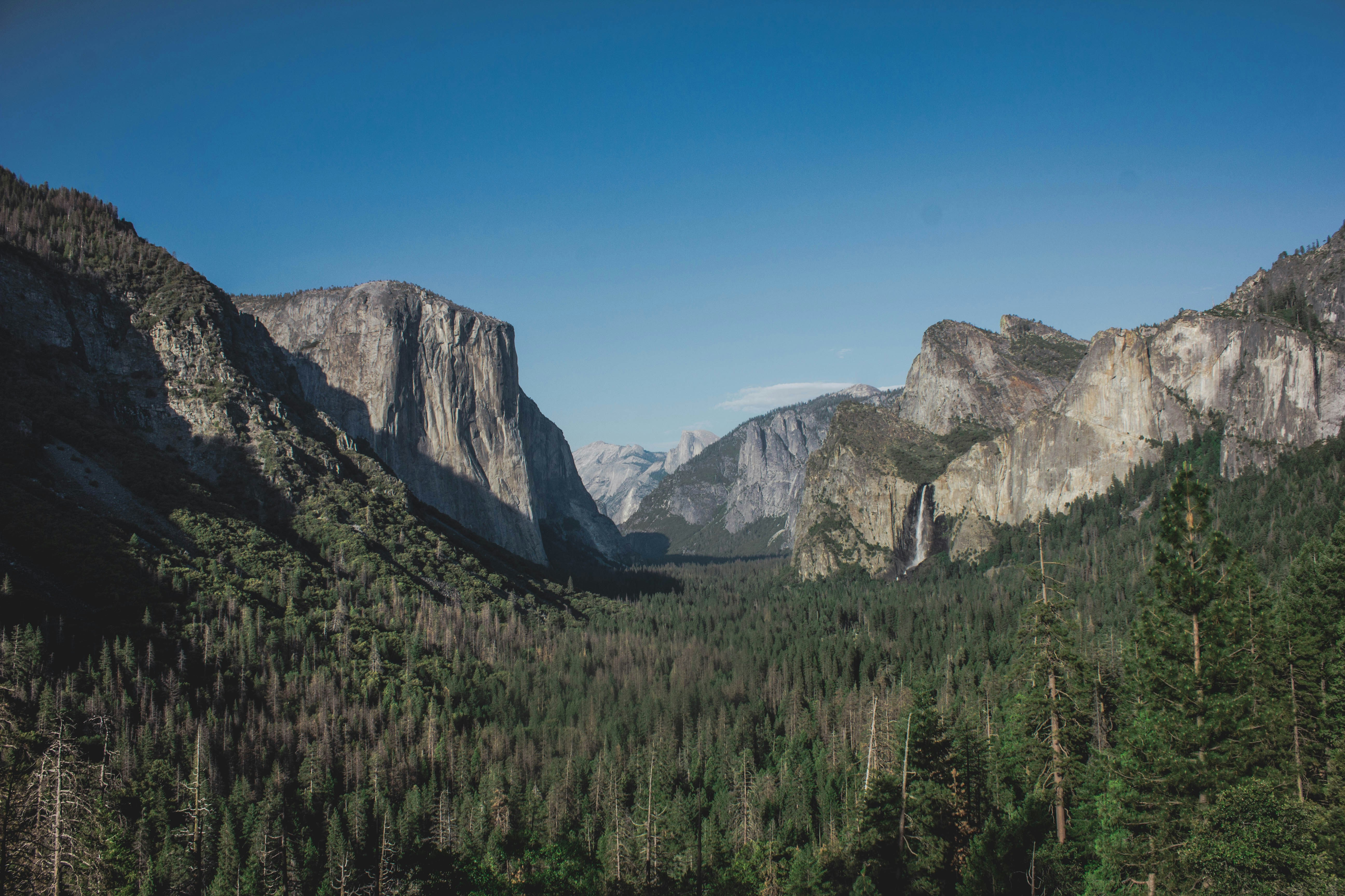 Photo by timowielink