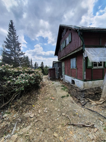 A skilled contractor carefully installing new cedar siding on a rustic home surrounded by pine trees.