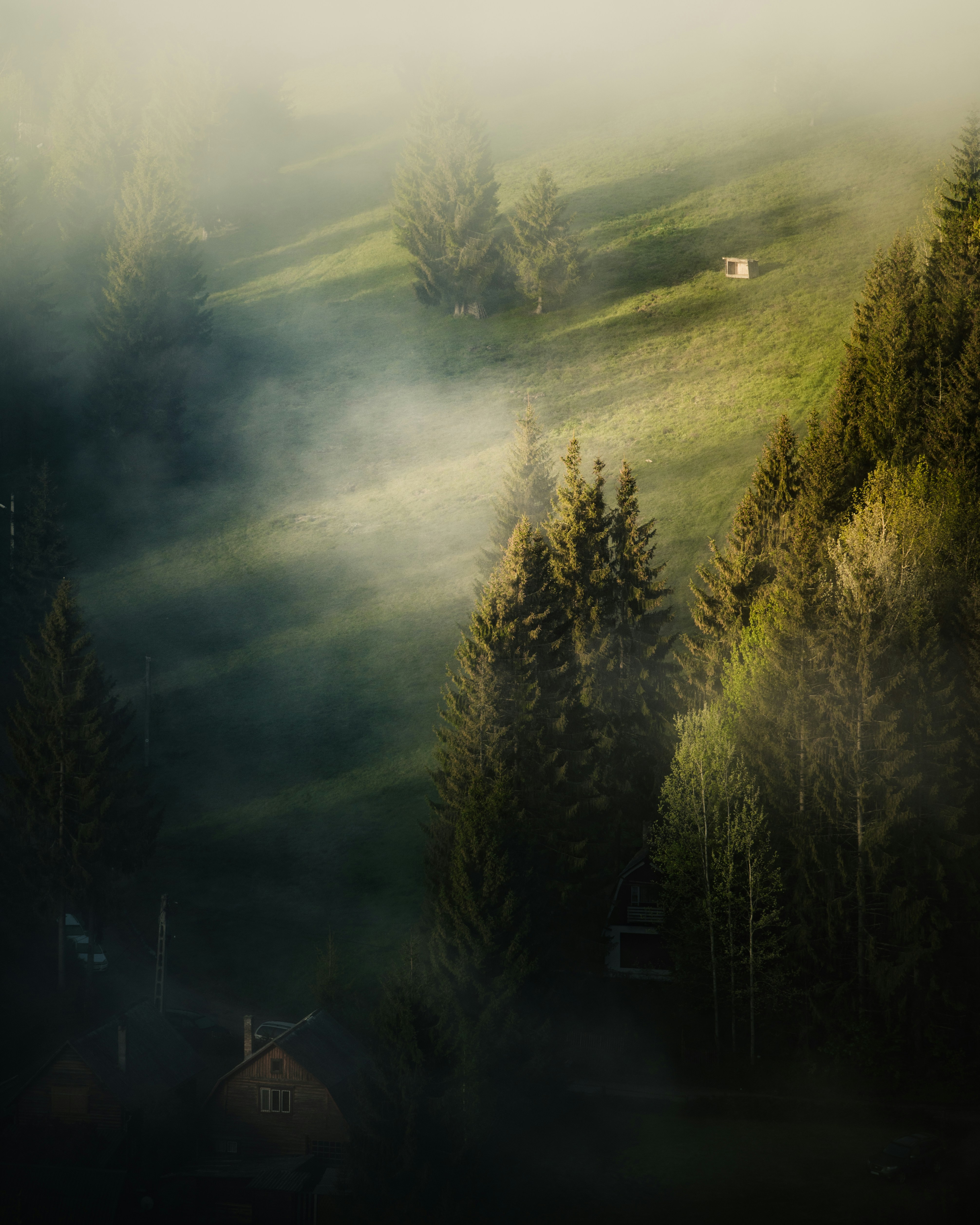 Photo by tamas_tuzeskatai