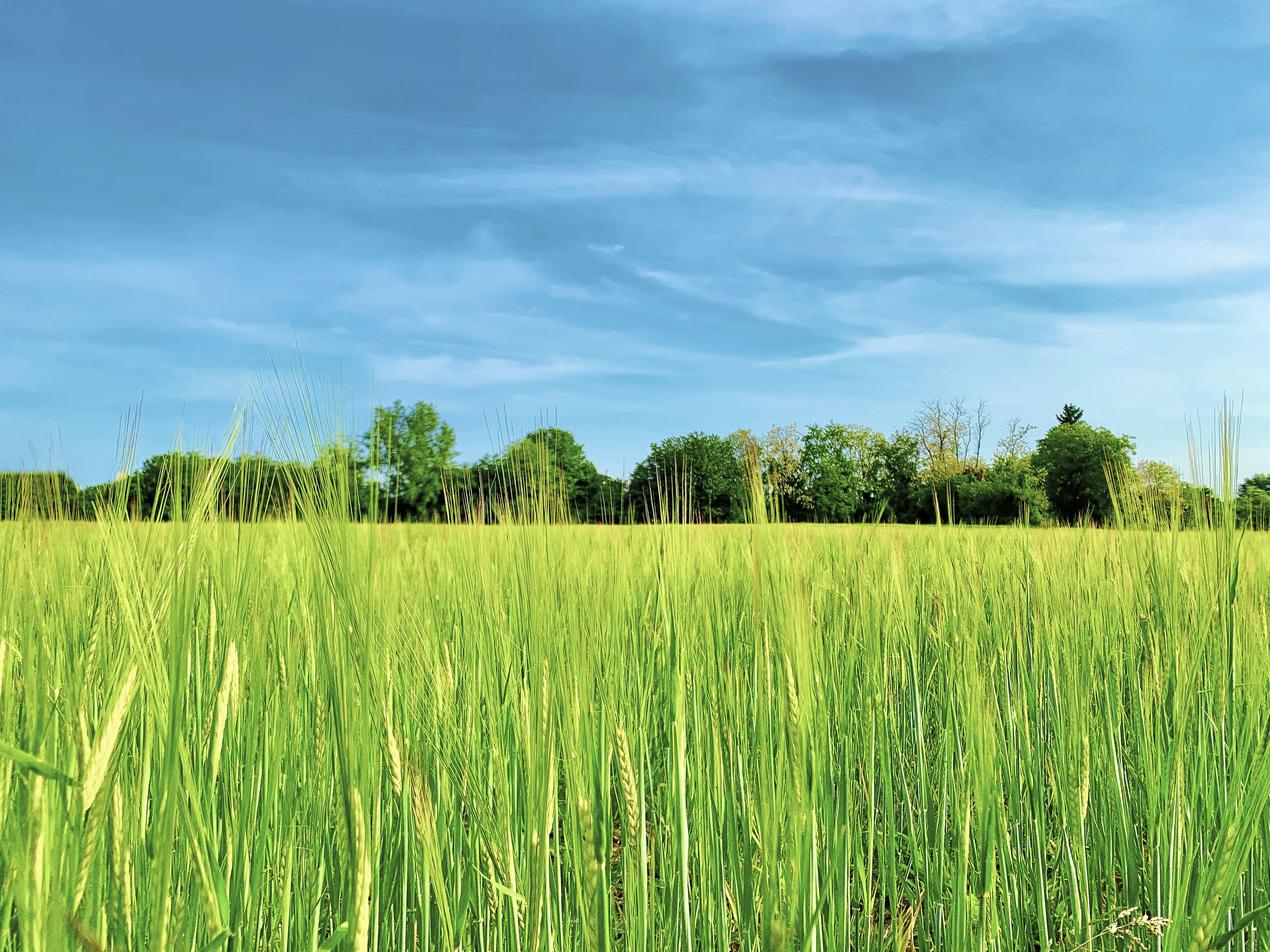 Photo by giuliomagnifico