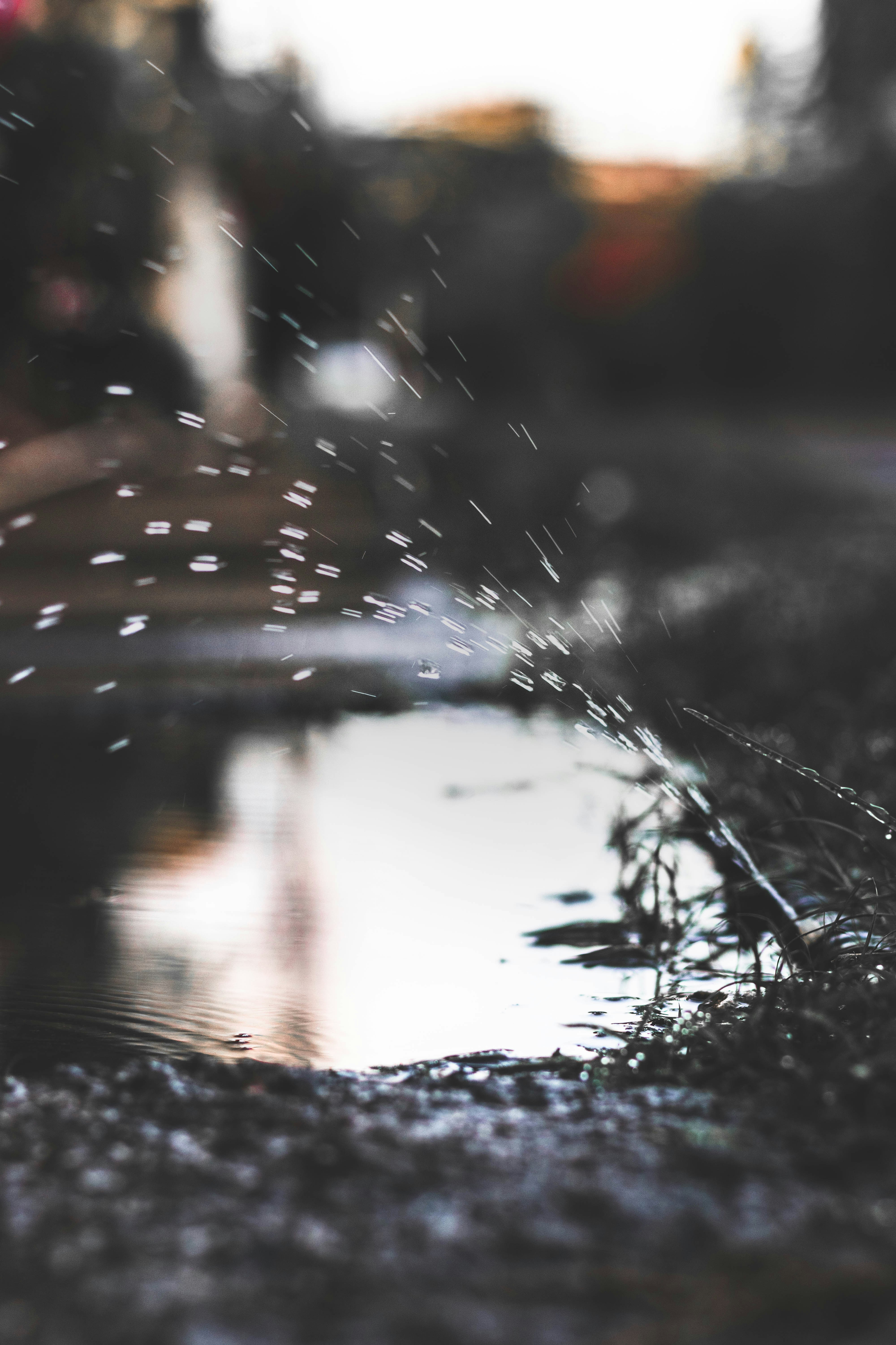 Photo by barcelocarl