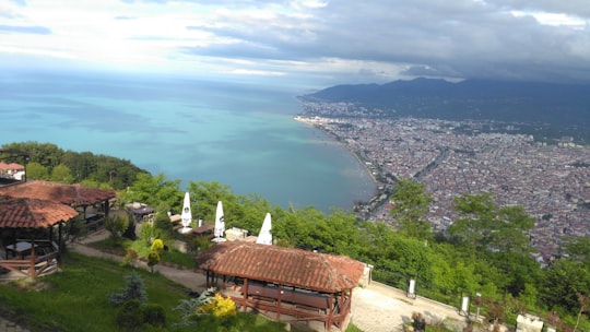 brown wooden house on green grass field near body of water during daytime in Ordu Turkey