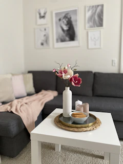 A cozy family living room featuring soft beige and light pink cushions with Angelique Essence lifestyle products neatly arranged on a wooden coffee table.