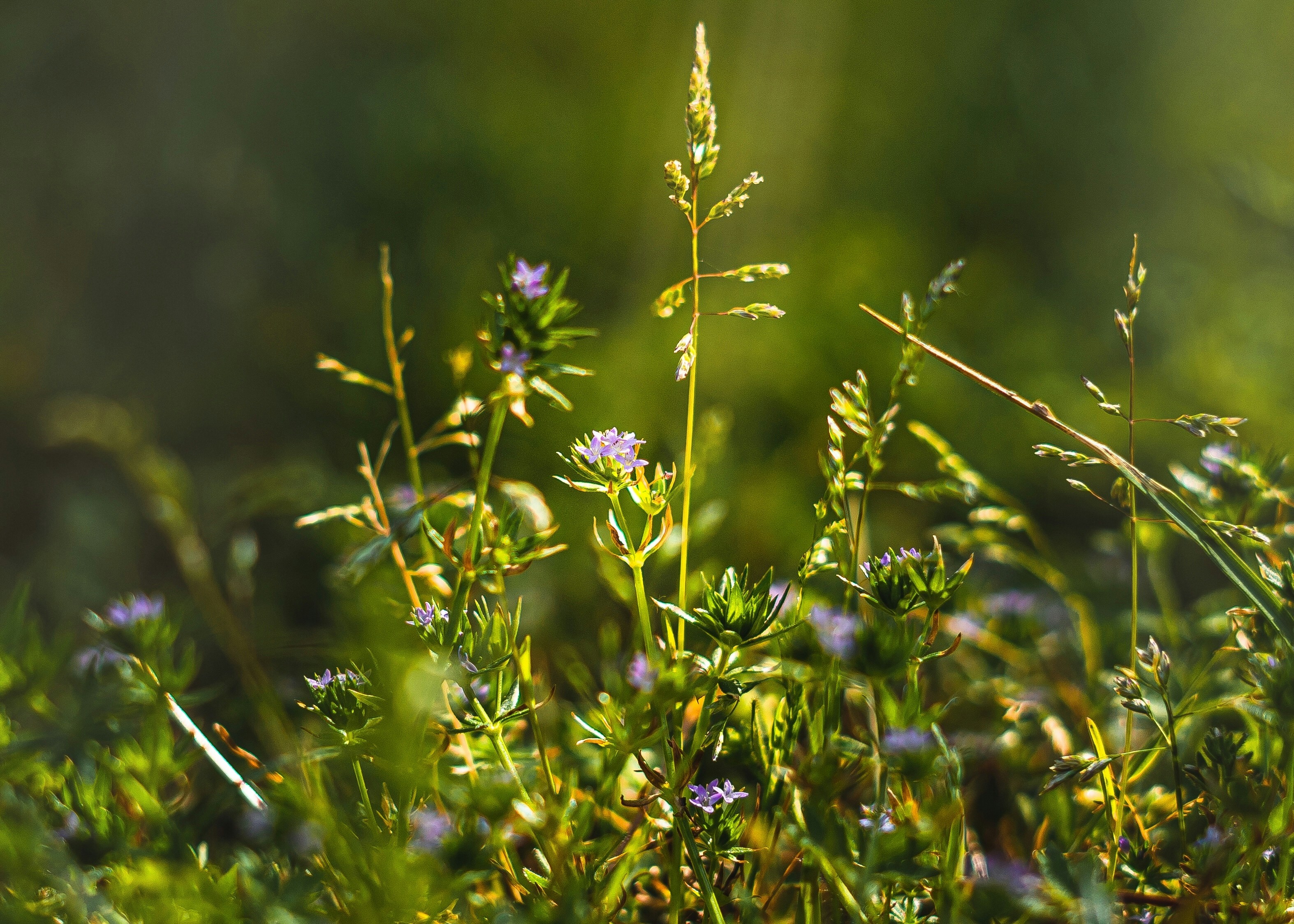 Photo by chrishardyphotography