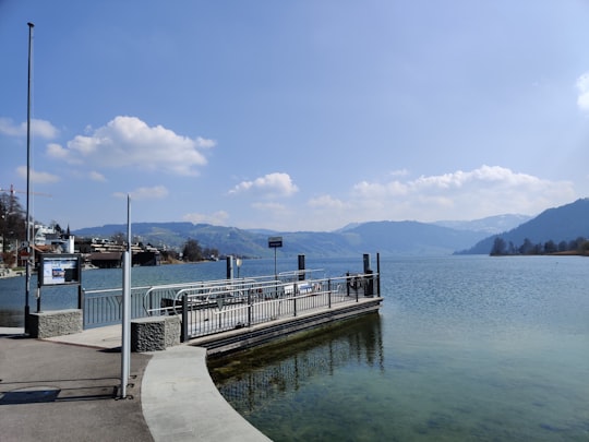 white and brown wooden dock on body of water during daytime in Unterägeri Switzerland