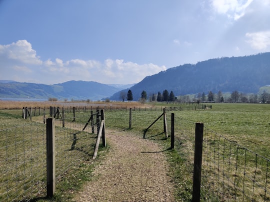 brown wooden fence on brown field during daytime in Unterägeri Switzerland