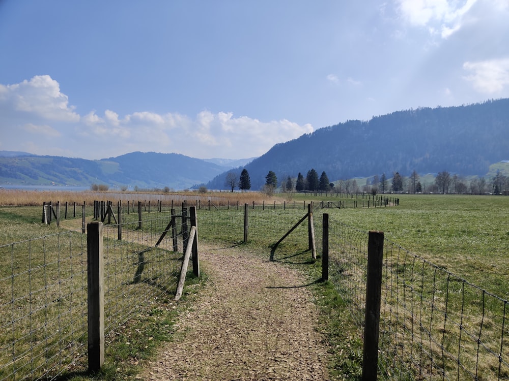 brown wooden fence on brown field during daytime