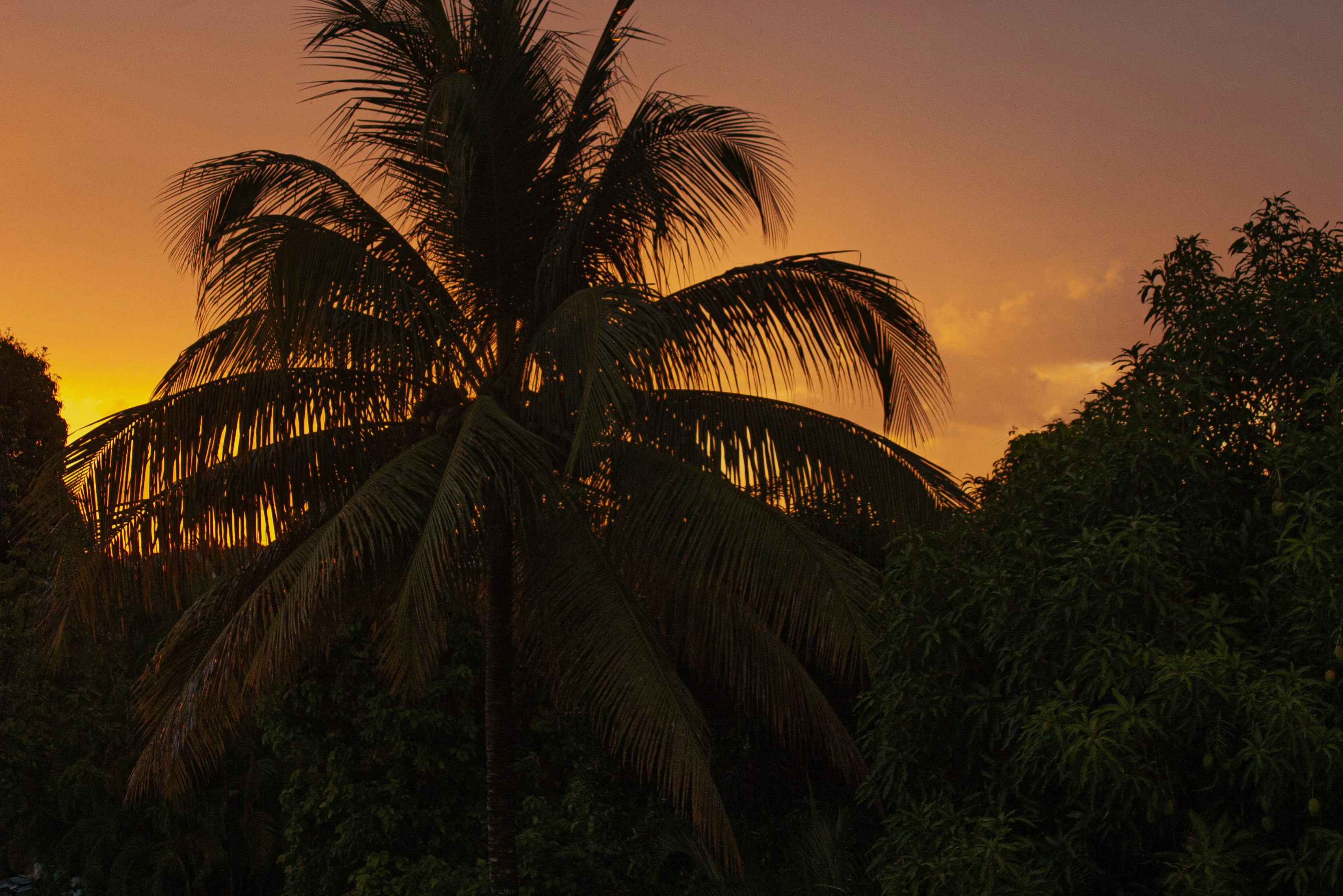 Photo by maybeimwealthy