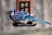 blue and white bird on brown wooden cage