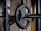 A close-up of the posture brace on a gym bench with weights in the background.