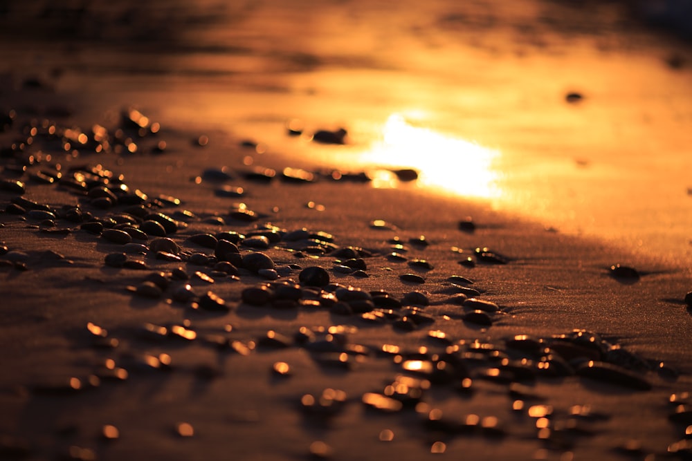 water droplets on the shore during sunset