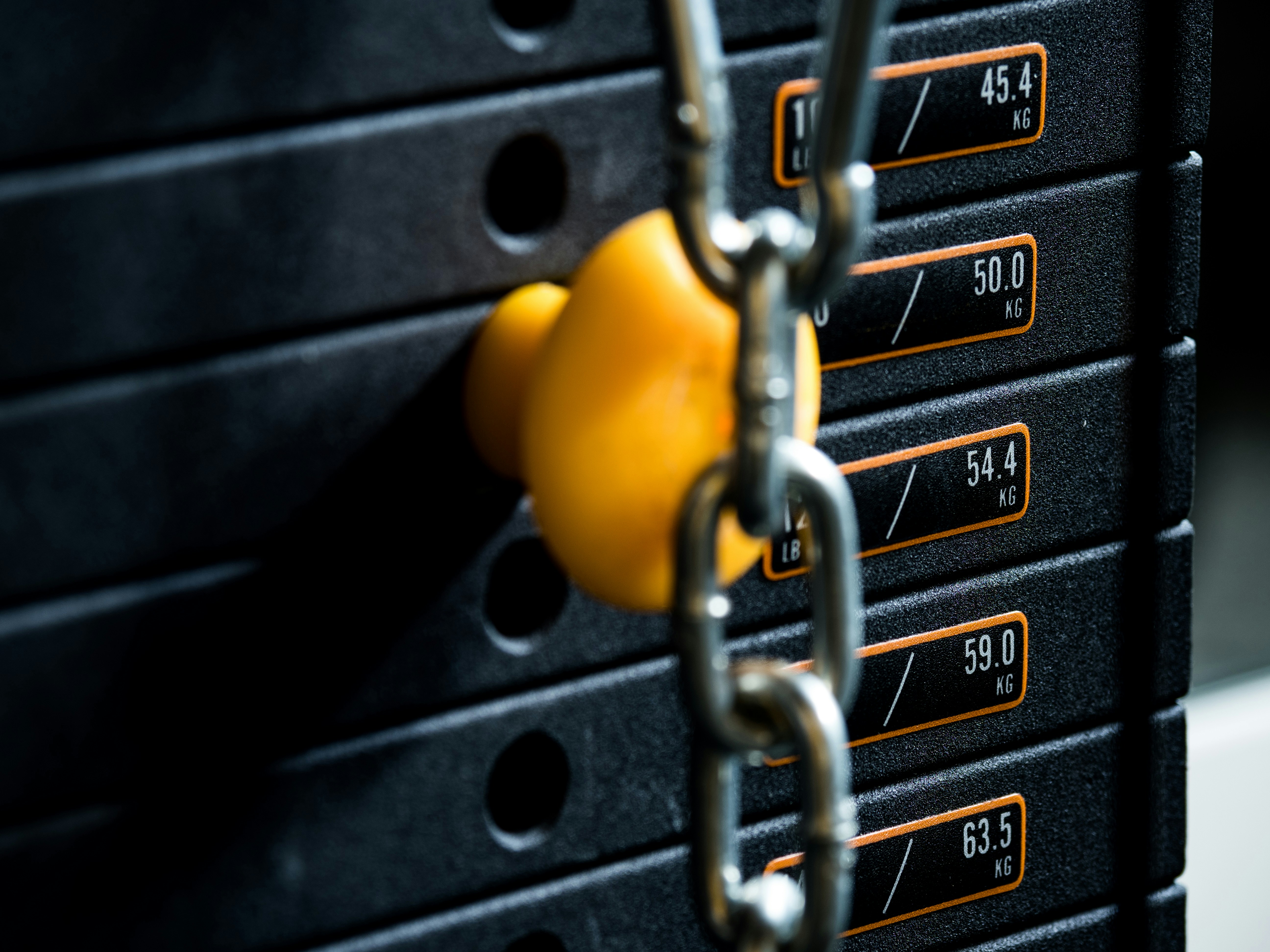 Weights up close in gym