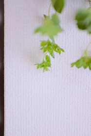 Minimalist shot of green leaves and fabric swatches blending harmoniously under soft daylight.